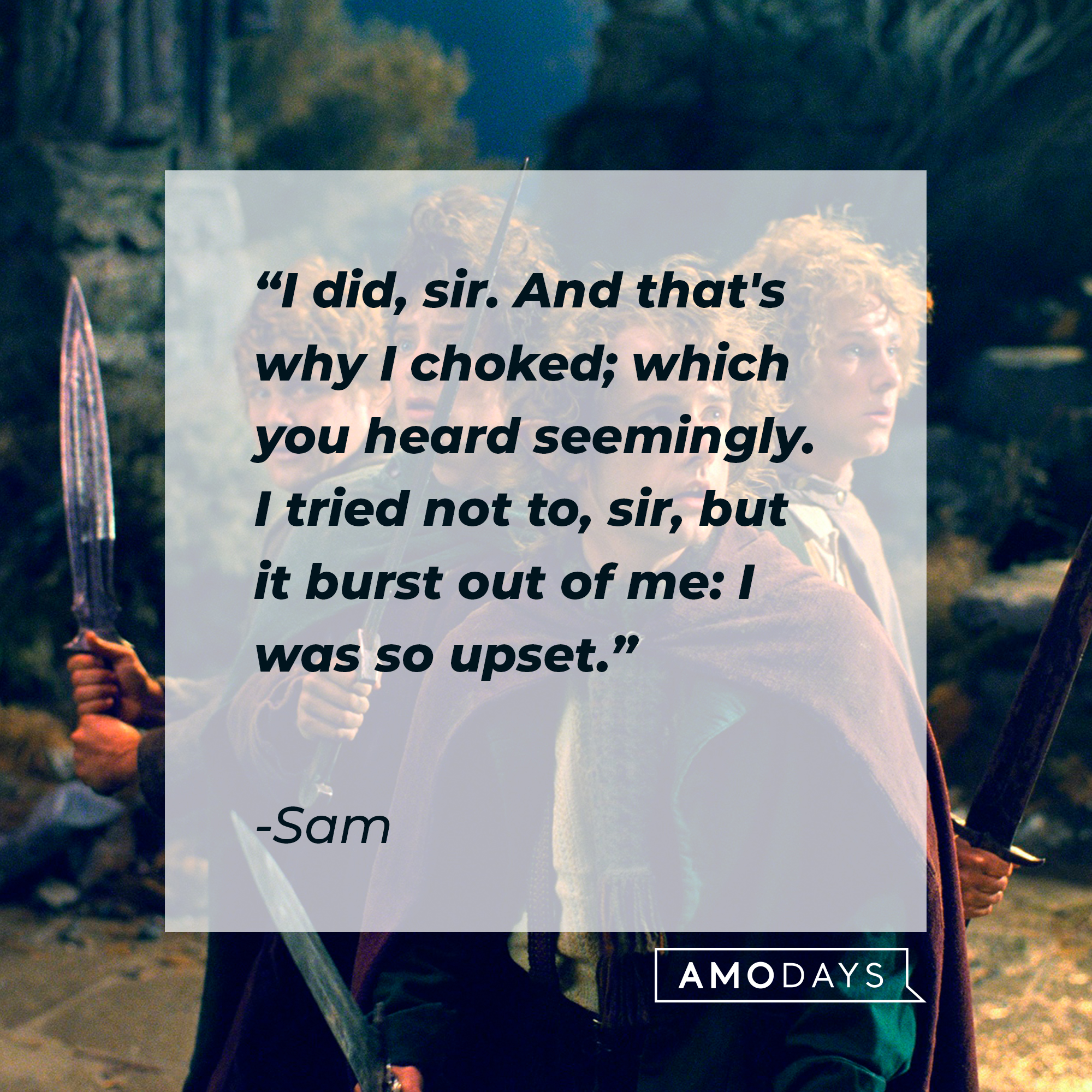 Sam's quote: "I did, sir. And that's why I choked; which you heard seemingly. I tried not to, sir, but it burst out of me: I was so upset." | Source: facebook.com/lordoftheringstrilogy