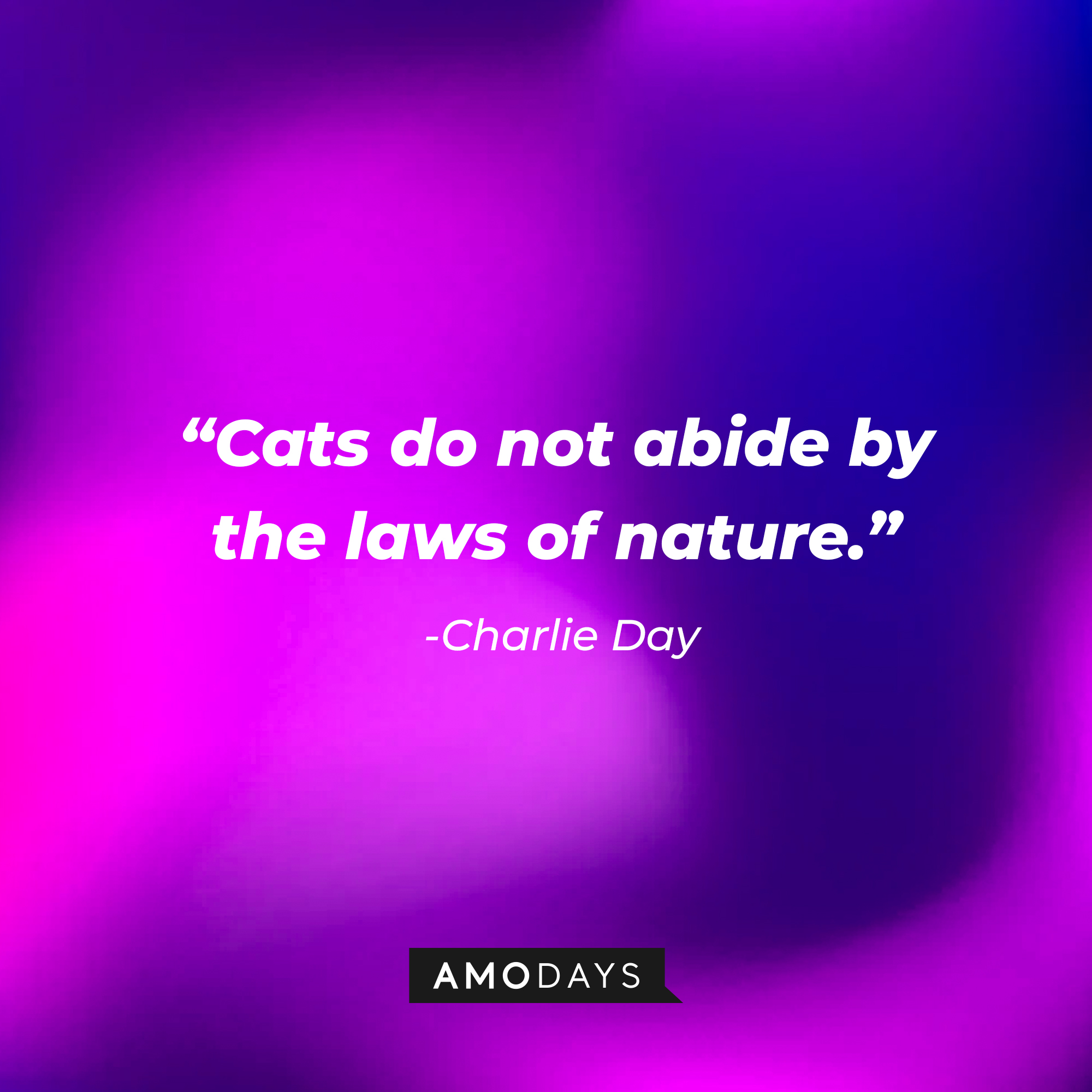 Charlie Day’s quote: “Cats do not abide by the laws of nature.” | Source: AmoDays