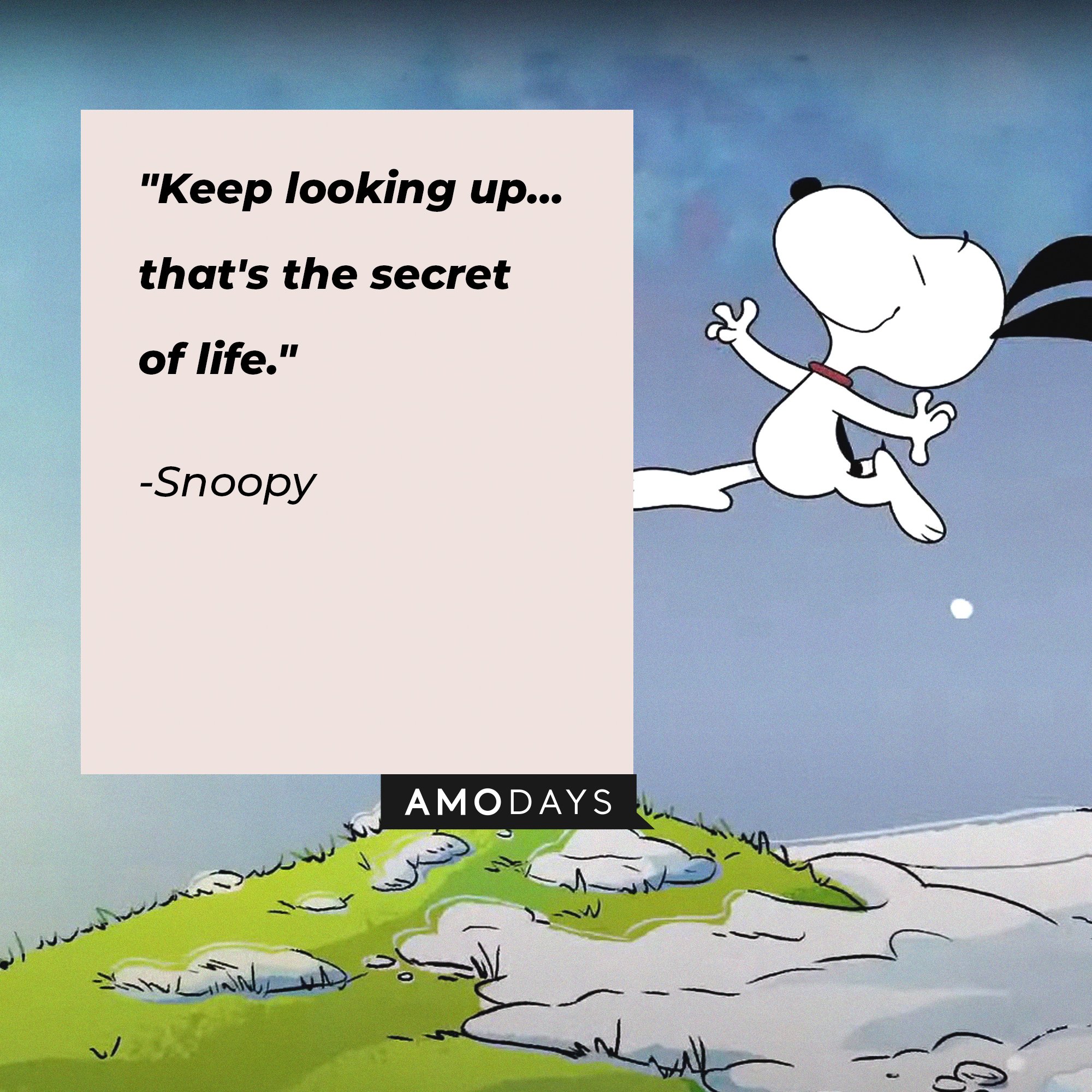 Inspiration Snoopy Snoopy Quotes Charlie Brown And Snoopy