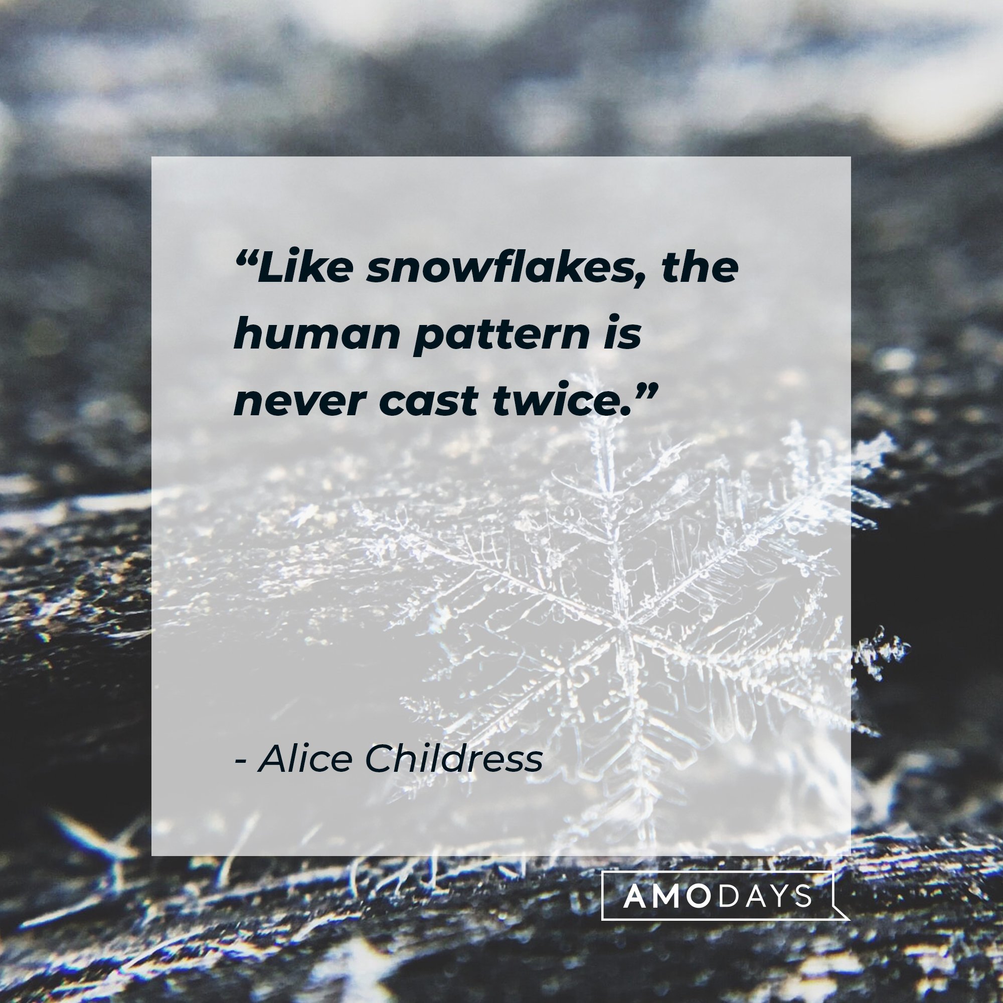   Alice Childress’ quote: "Like snowflakes, the human pattern is never cast twice." | Image: AmoDays