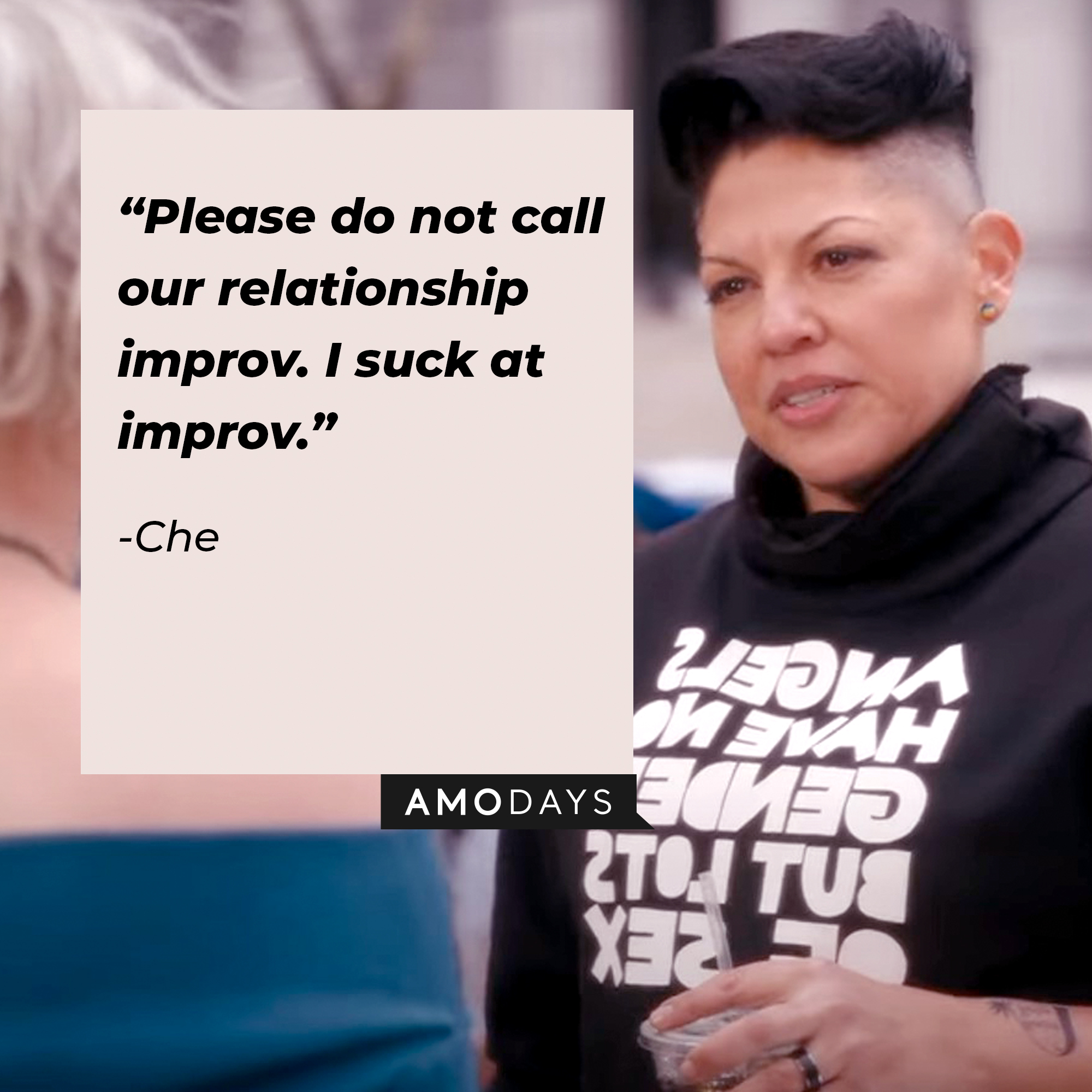 An image of Che with her quote: “Please do not call our relationship improv. I suck at improv.” | facebook.com/justlikethatmax