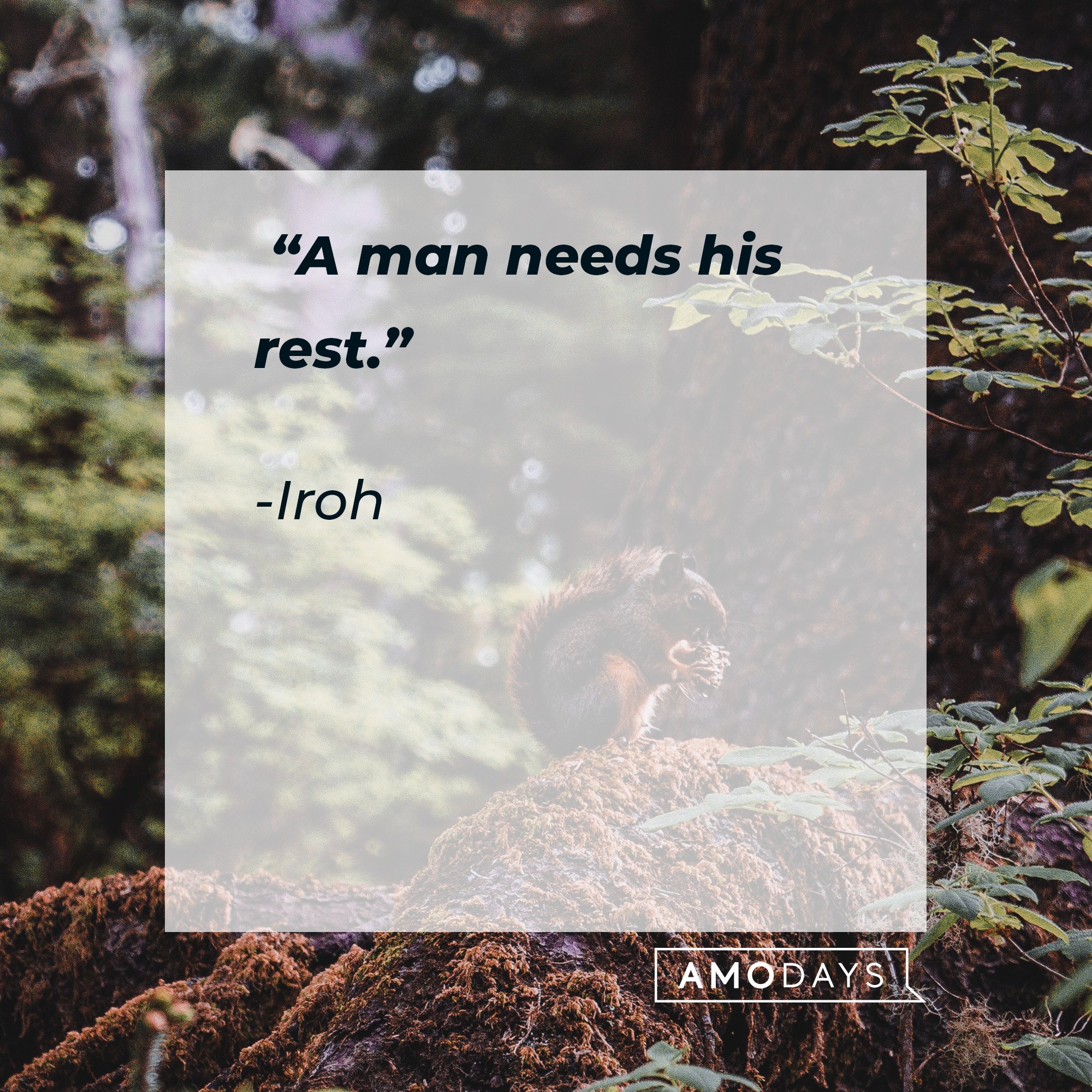 Iroh's quote: “A man needs his rest.” | Image: AmoDays