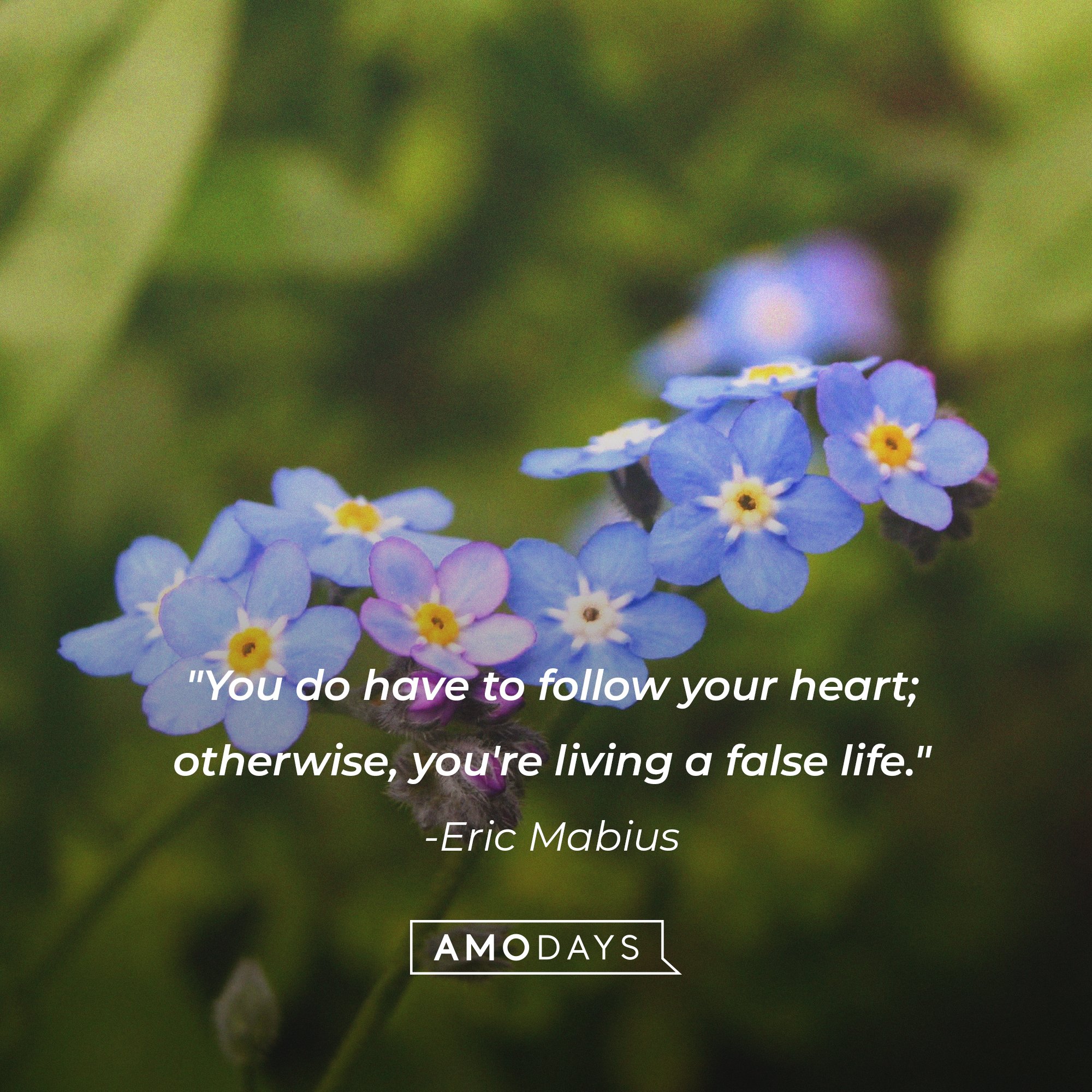 Eric Mabius’ quote: "You do have to follow your heart; otherwise, you're living a false life." | Image: AmoDays 