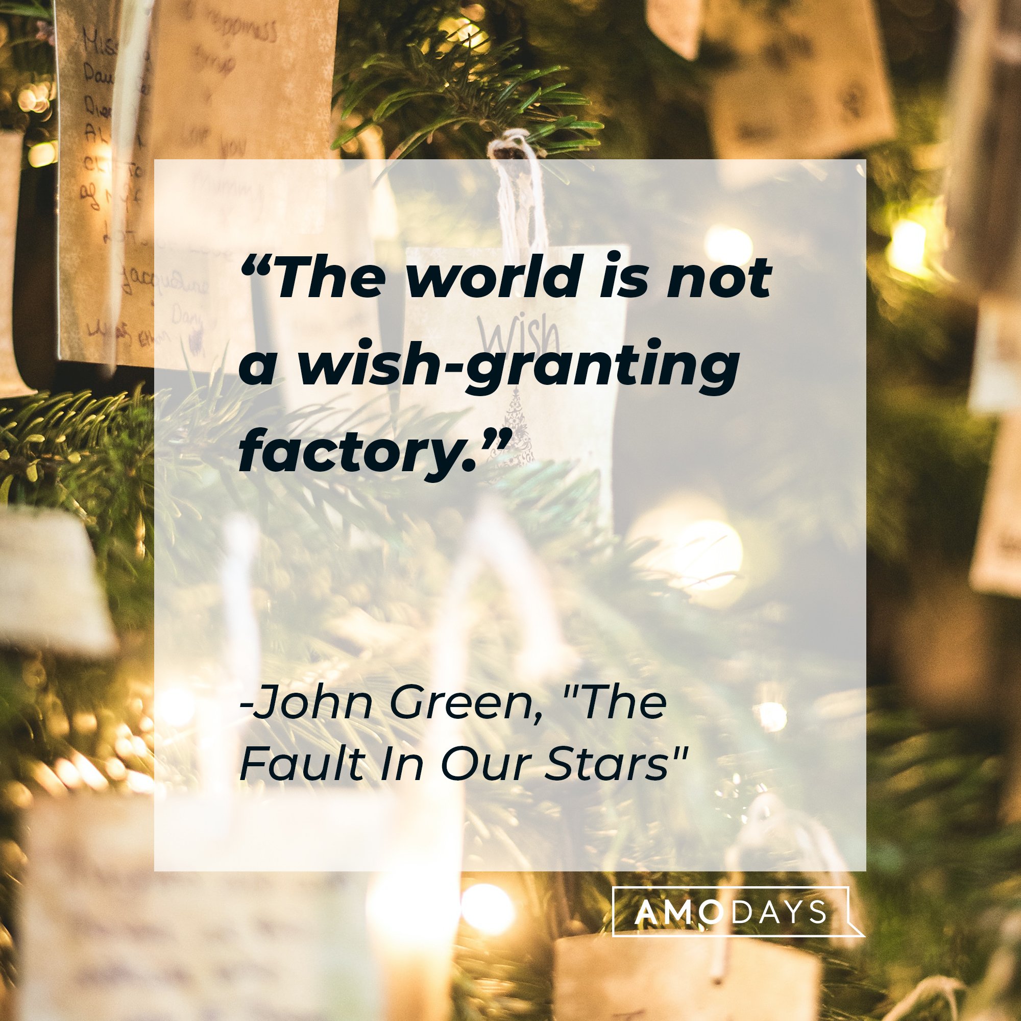 John Green’s quote from "The Fault In Our Stars" : "The world is not a wish-granting factory." | Image: AmoDays