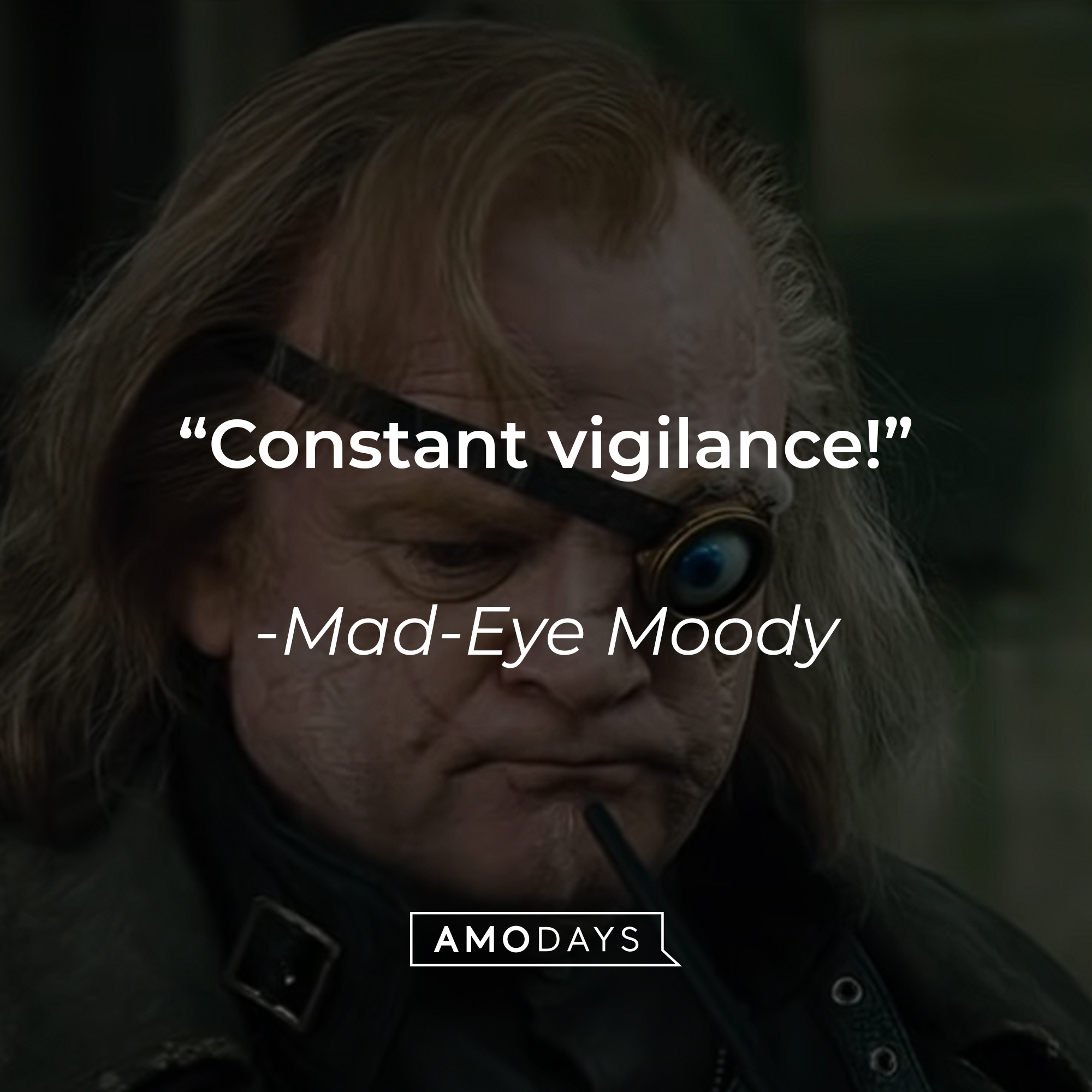 Mad-Eye Moody's quote: "Constant vigilance!" | Source: youtube.com/harrypotter