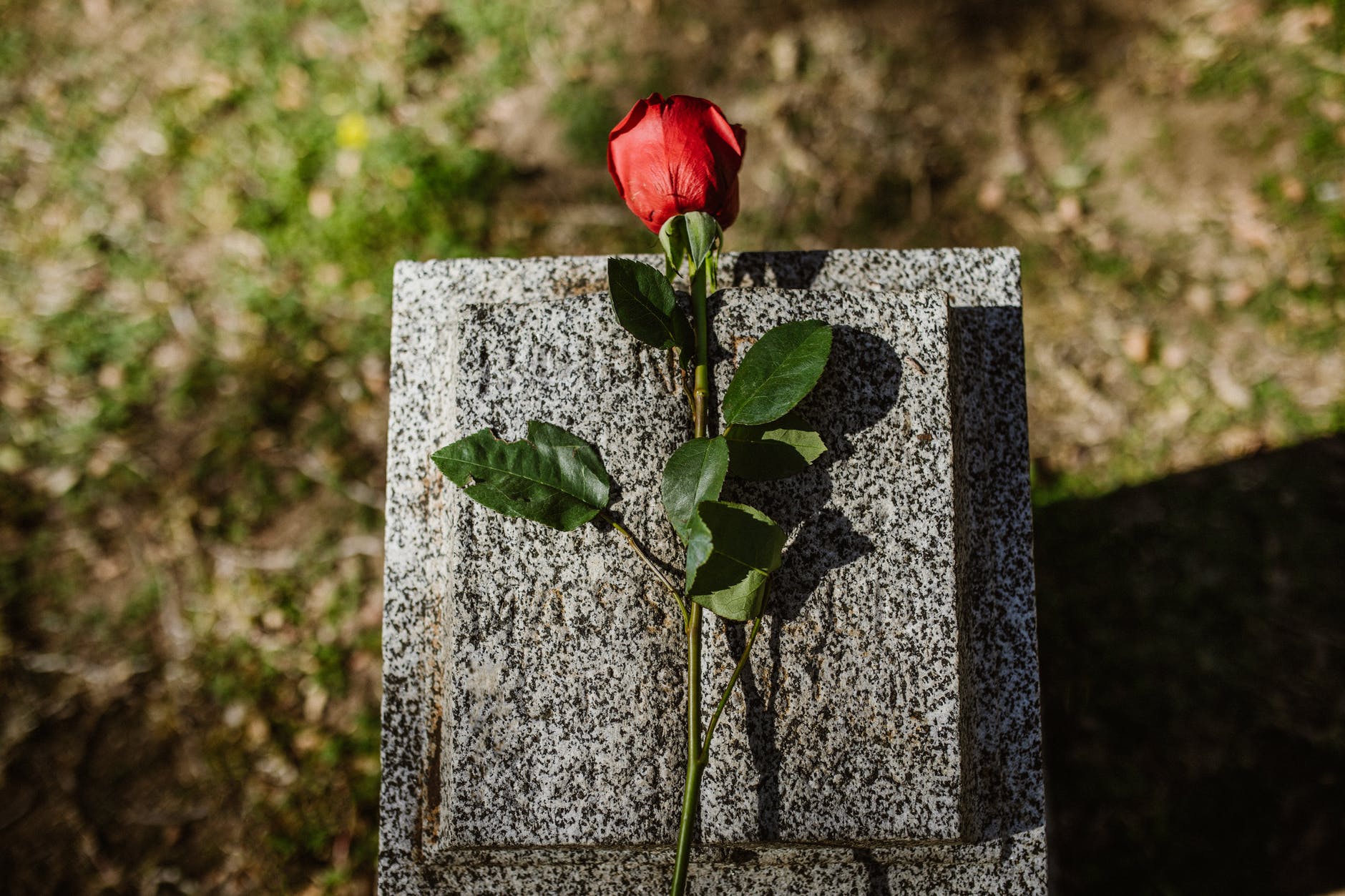 They went to see his mother's tombstone. | Source: Pexels