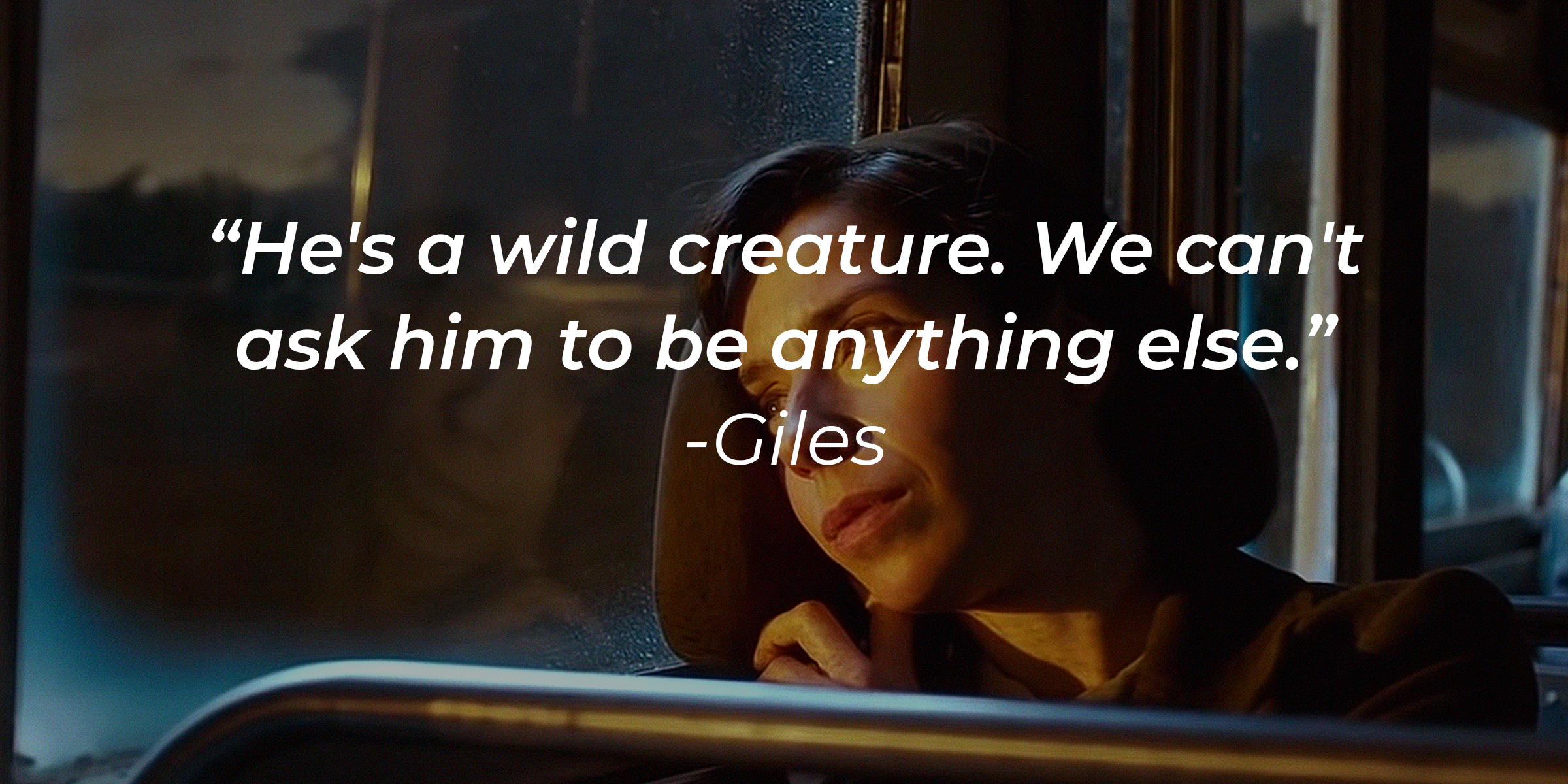 A photo of Elisa and Giles's quote "He's a wild creature. We can't ask him to be anything else." | Source: youtube.com/searchlightpictures