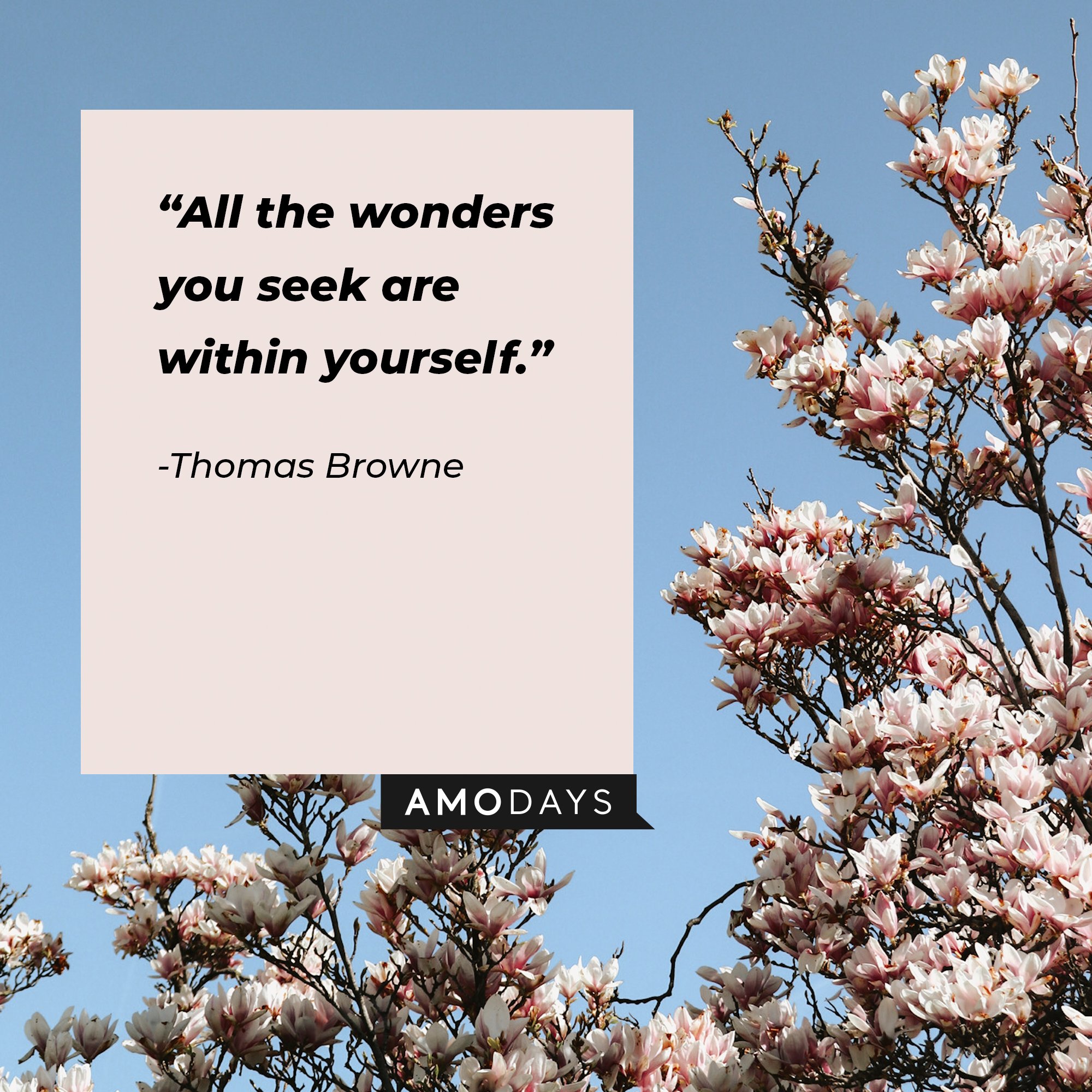Thomas Browne's quote: “All the wonders you seek are within yourself.”  | Image: AmoDays