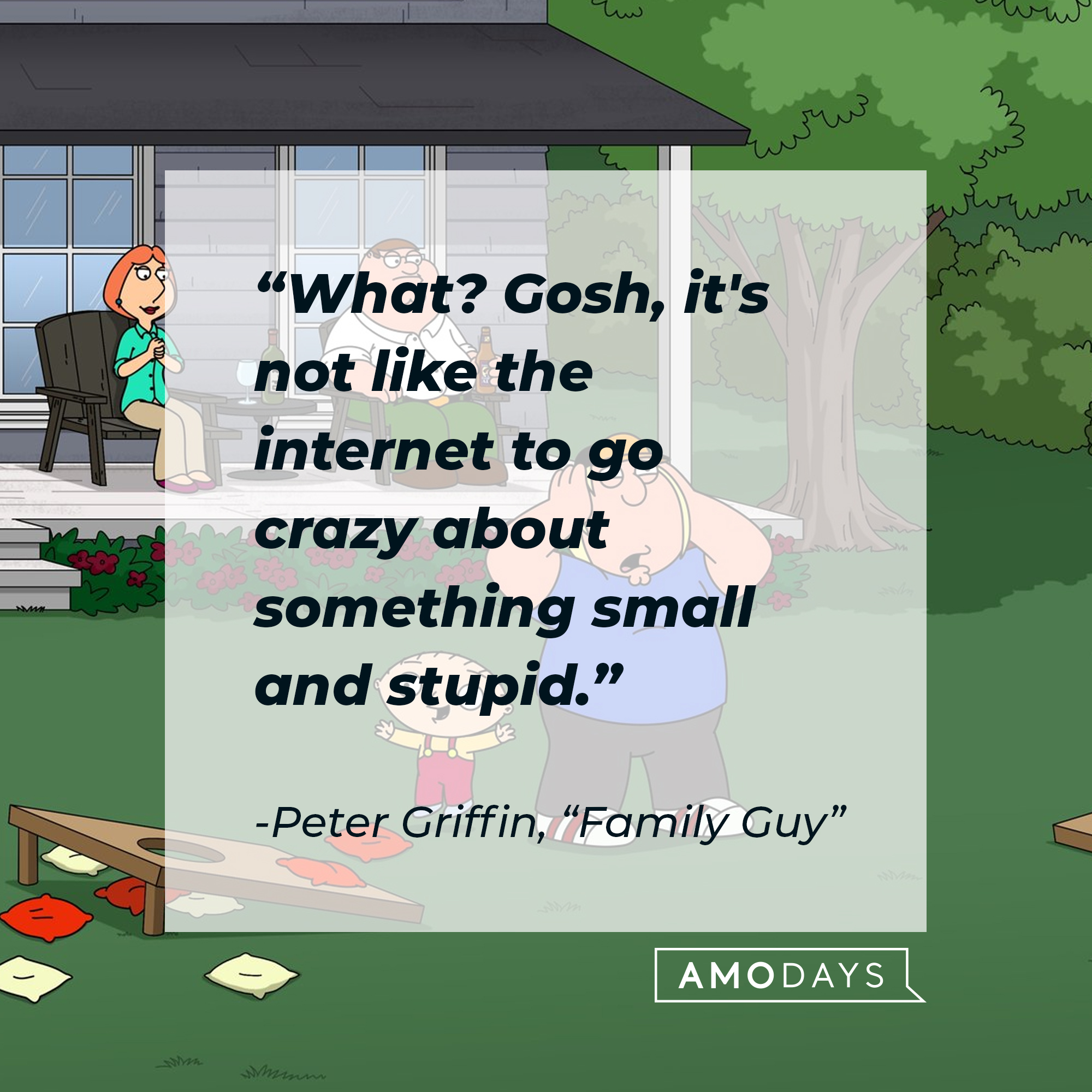 Peter Griffin's quote: "What? Gosh, it's not like the internet to go crazy about something small and stupid." | Source: facebook.com/FamilyGuy
