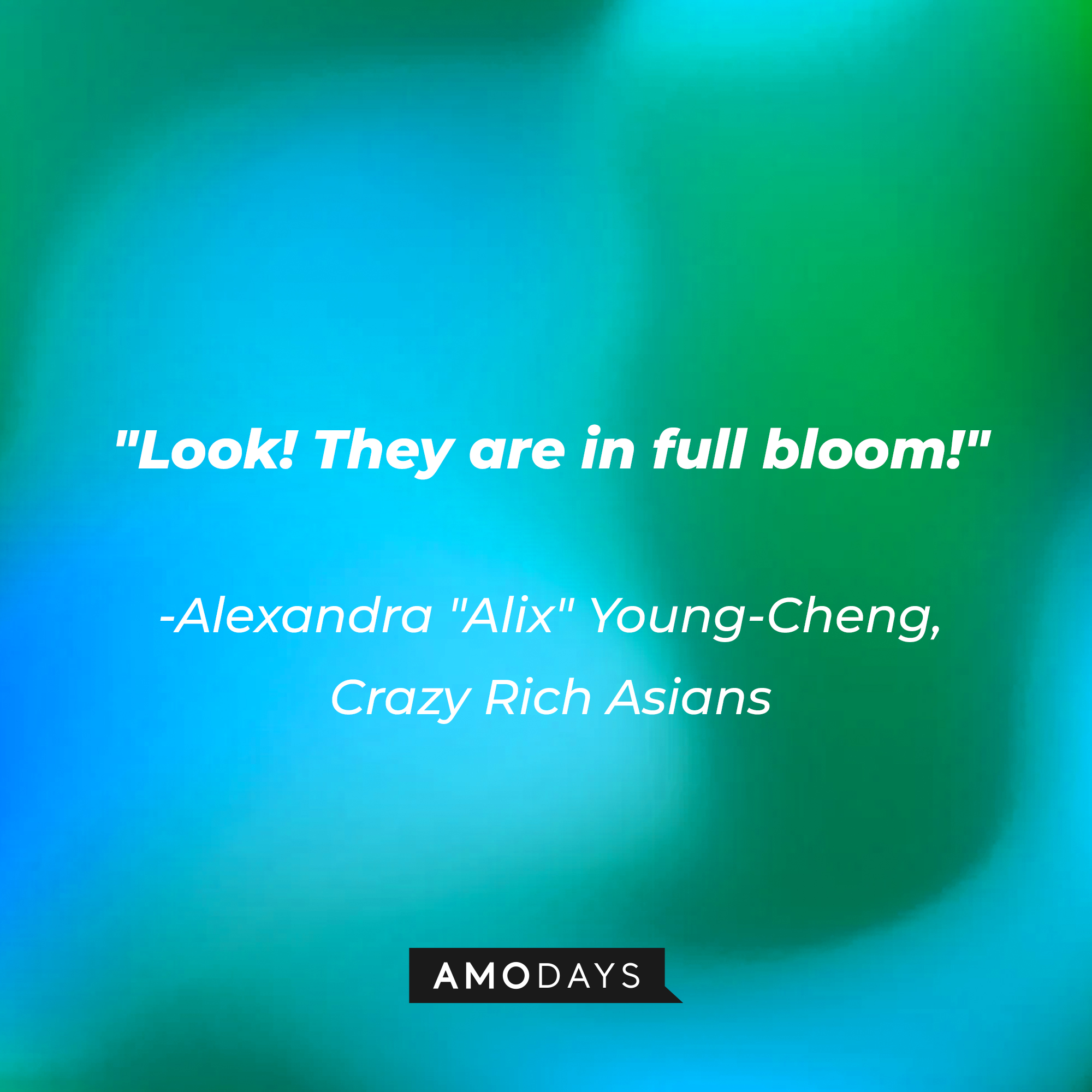 Amanda "Alix" Young Cheng's quote: "Look! They are in full bloom." | Source: AmoDays