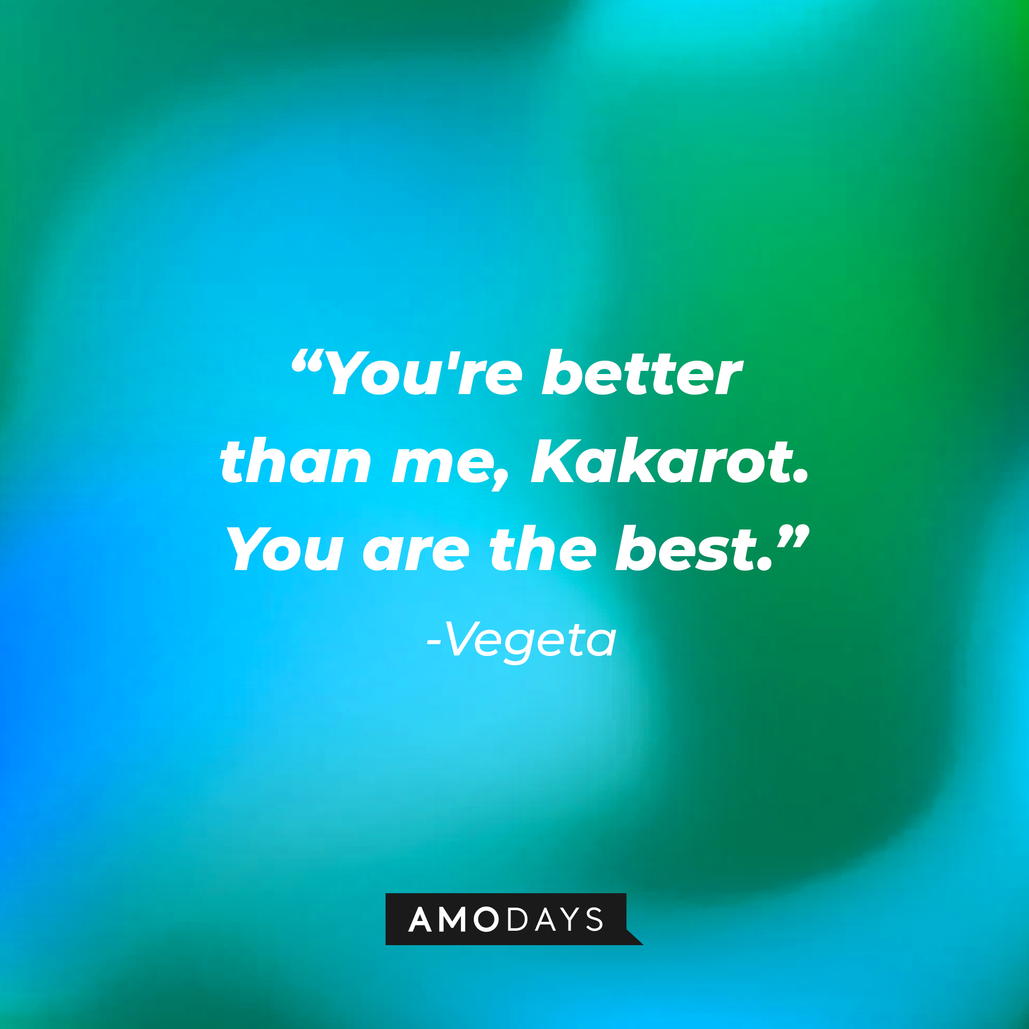 Vegeta’s quote: "You're better than me, Kakarot. You are the best."  | Source: AmoDays