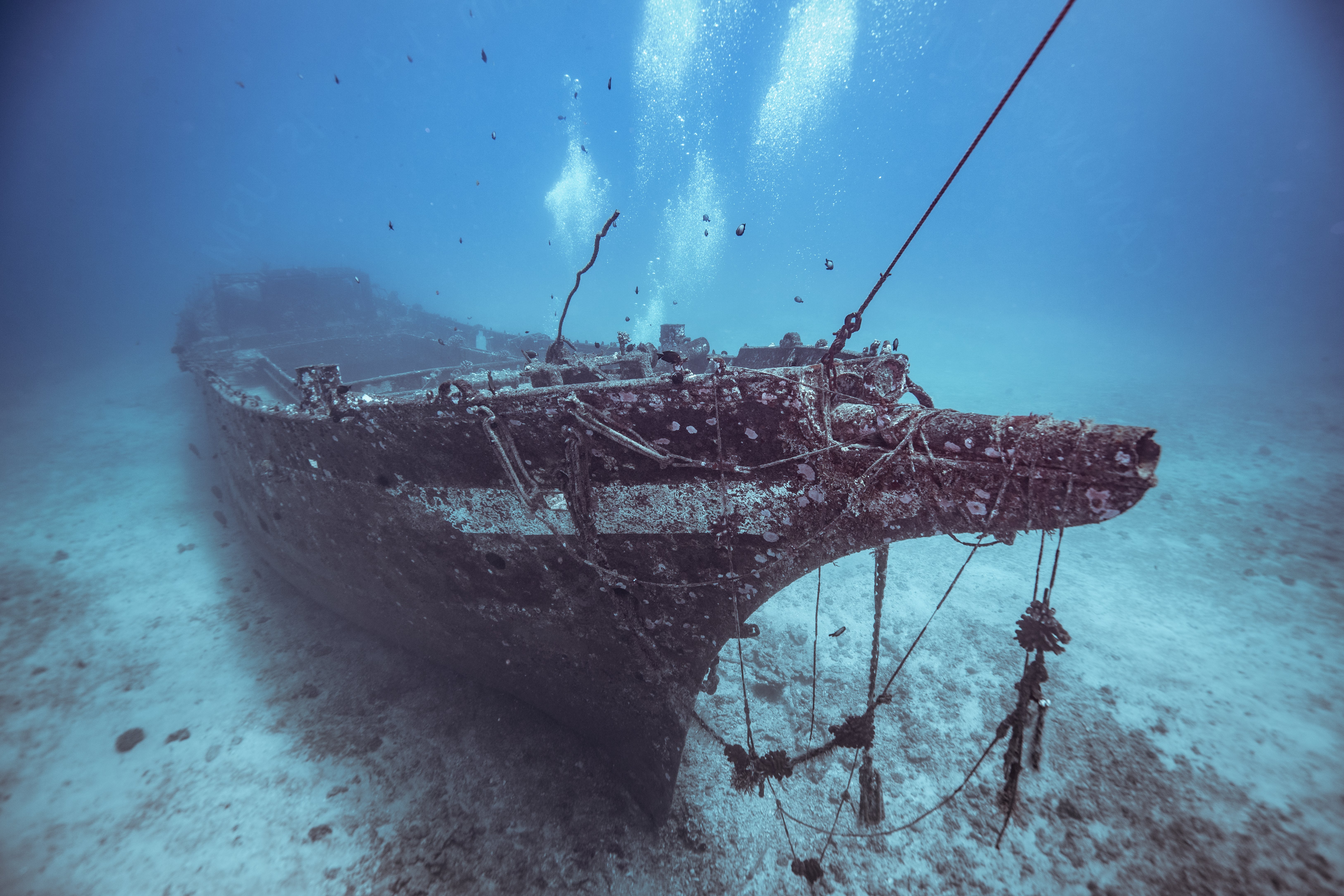 Patricia's husband disappeared at sea when his ship sank. | Source: Shutterstock