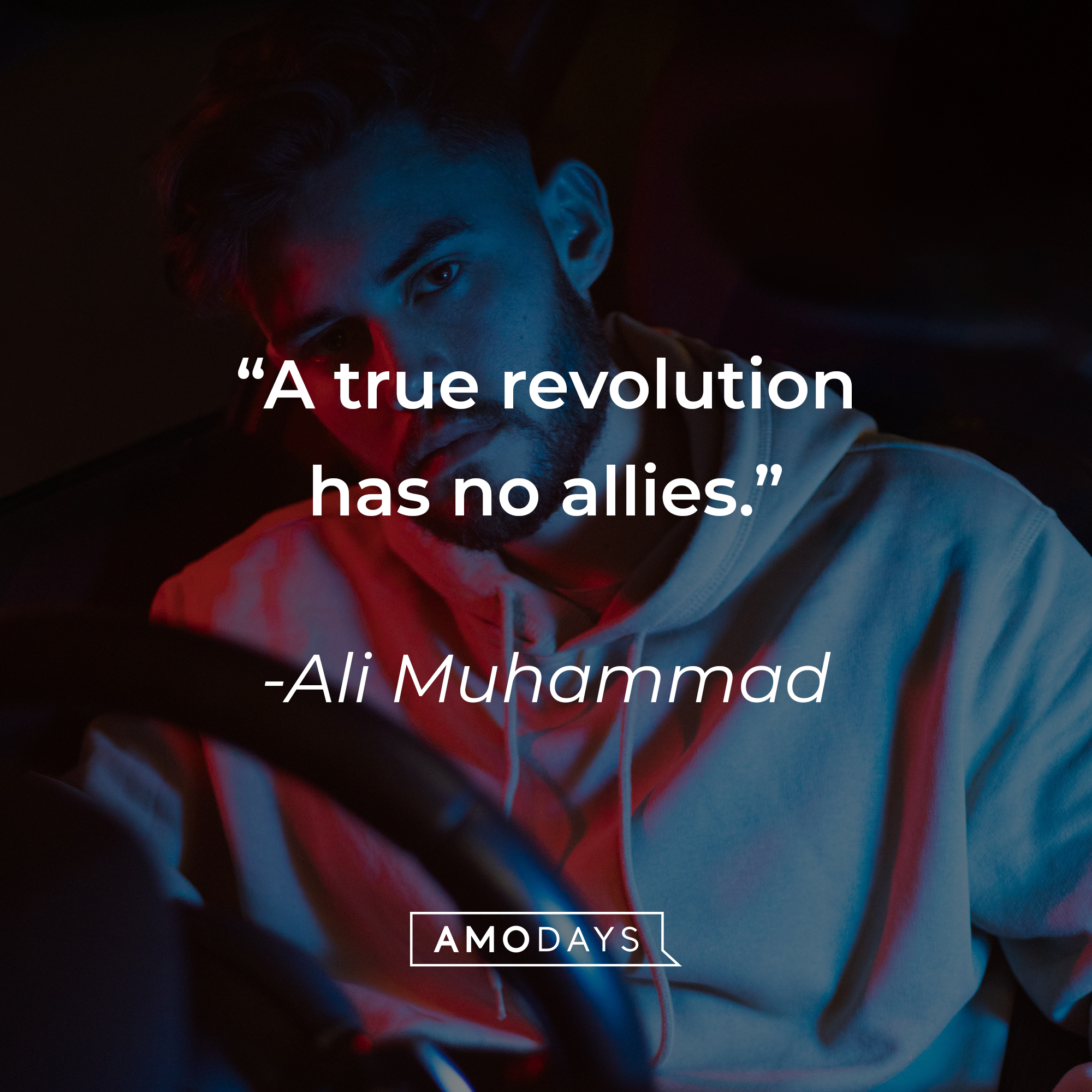 Ali Muhammad's quote: "A true revolution has no allies." | Source: unsplash.com
