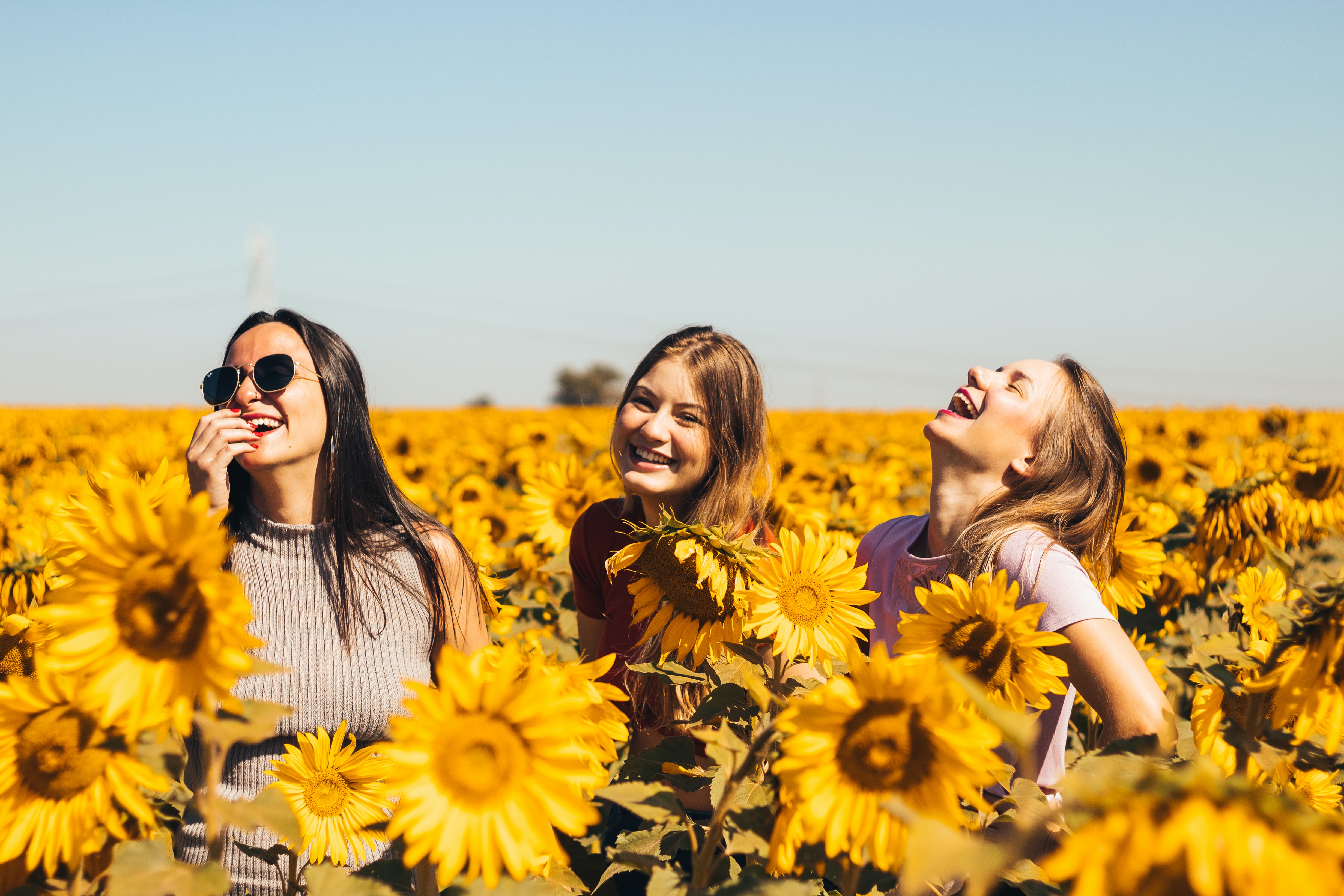 Three women laughing in a field of sunflowers. | Source: Unsplash