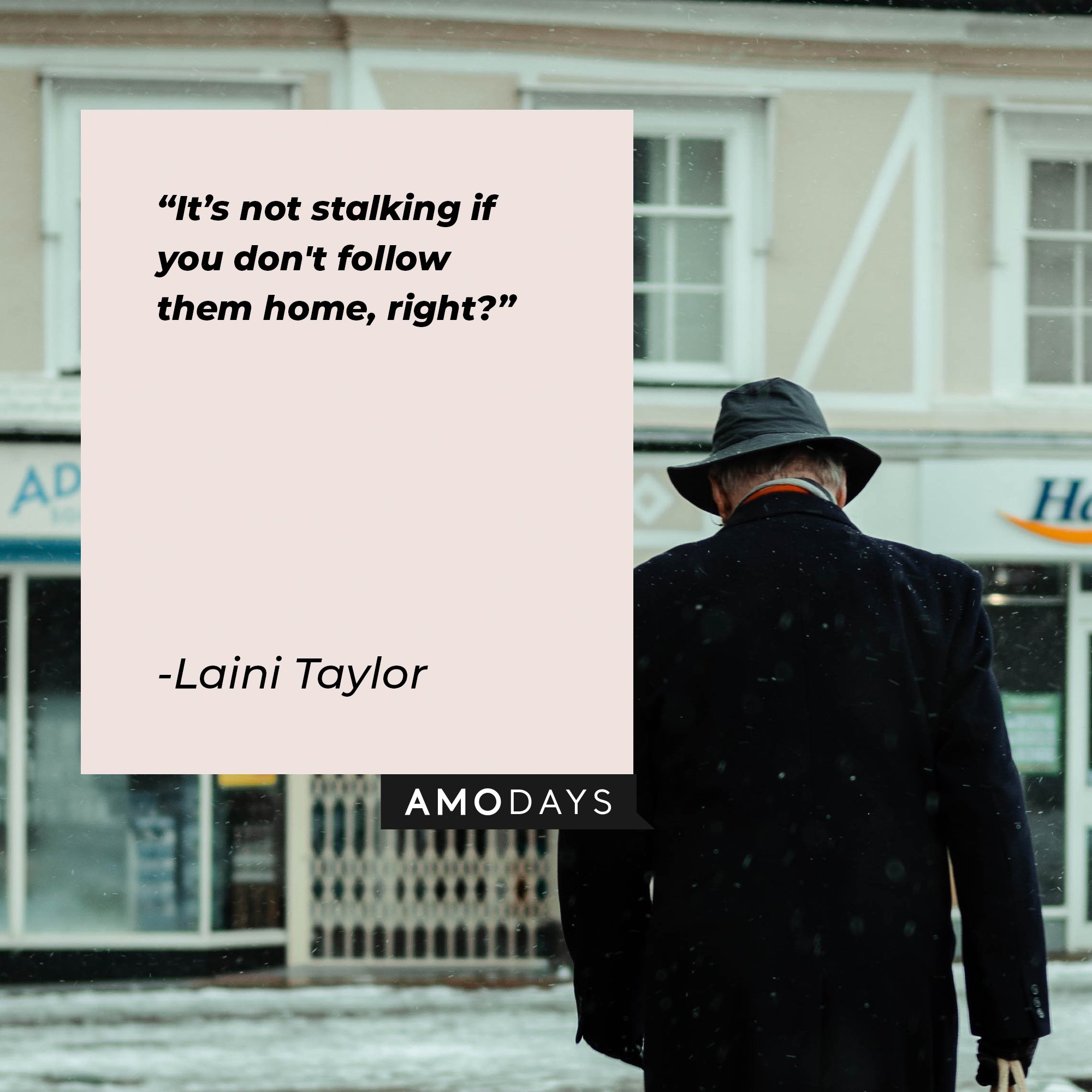 Laini Taylor’s quote: “It’s not stalking if you don't follow them home, right?” | Image: AmoDays