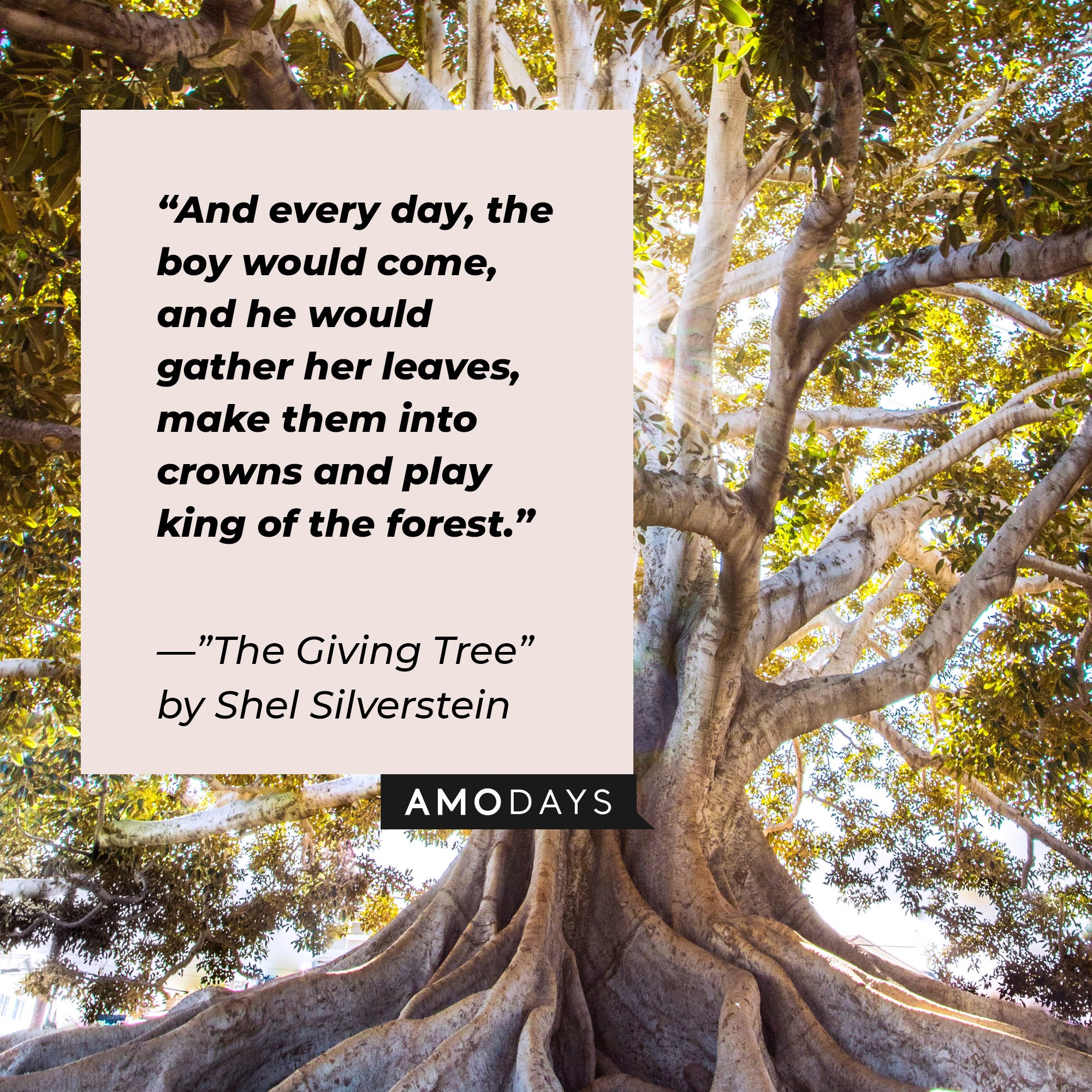 Quotes from Shel Silverstein’s "Giving Tree”: "And every day, the boy would come, and he would gather her leaves, make them into crowns and play king of the forest." | Image: AmoDays