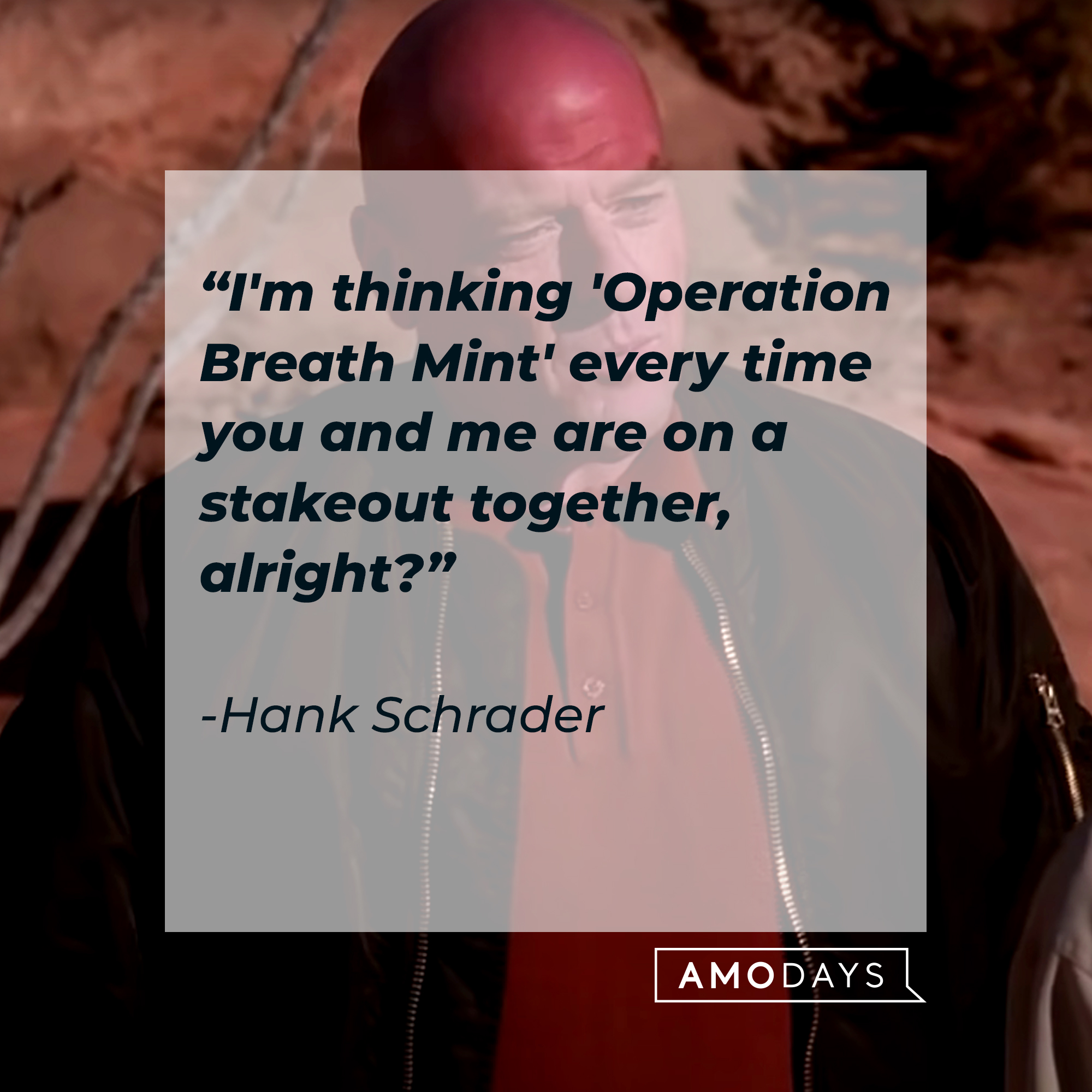 An image of Hank Schrader, with his quote: "I'm thinking 'Operation Breath Mint' every time you and me are on a stakeout together, alright?" | Source: Youtube.com/breakingbad
