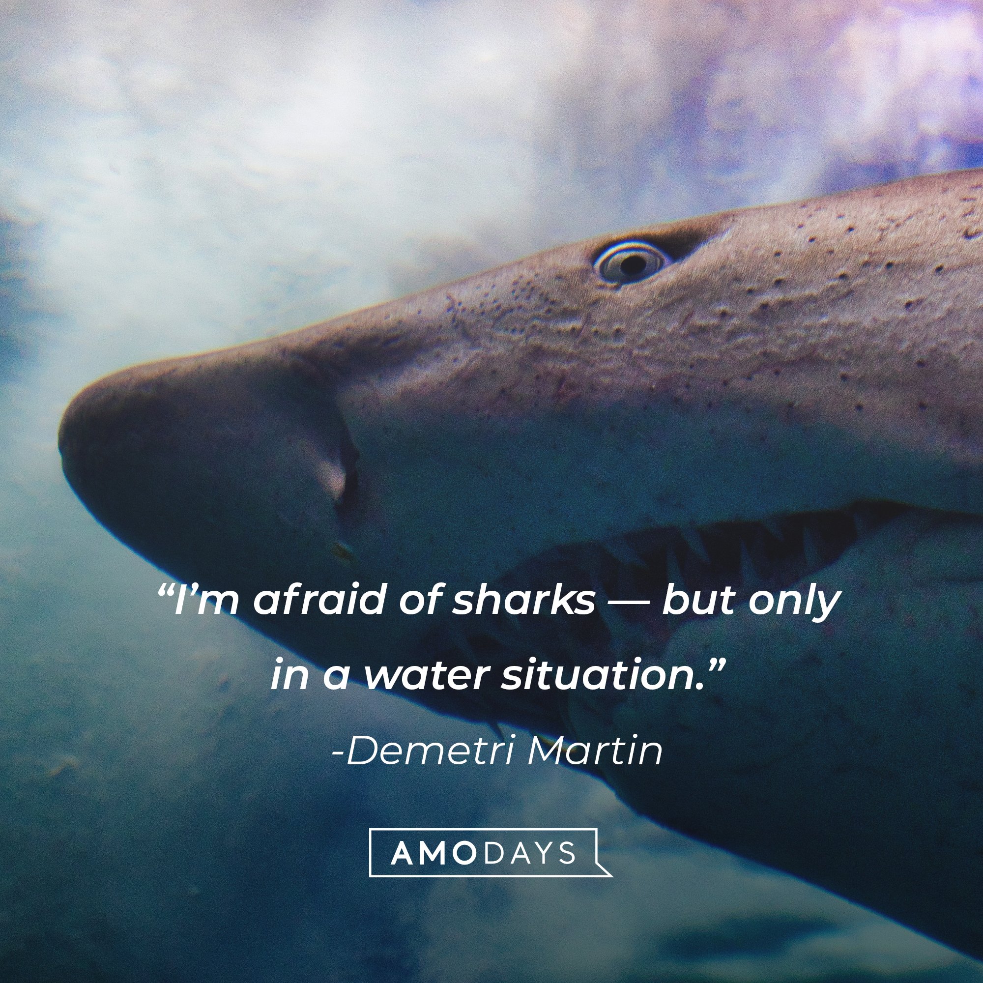Demetri Martin's quote: “I’m afraid of sharks—but only in a water situation.” | Image: AmoDays 