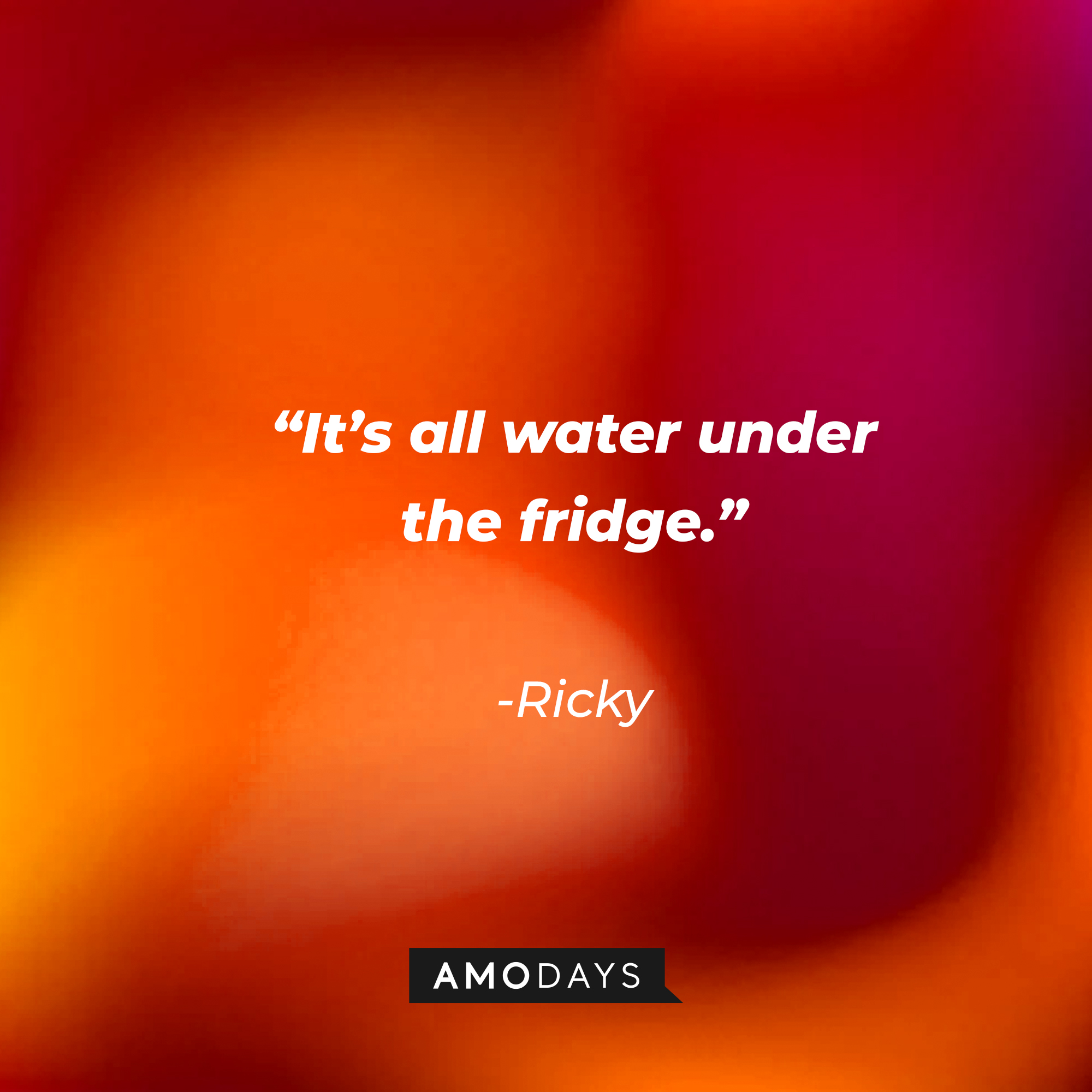 Ricky's quote: “It’s all water under the fridge.” | Source: Amodays