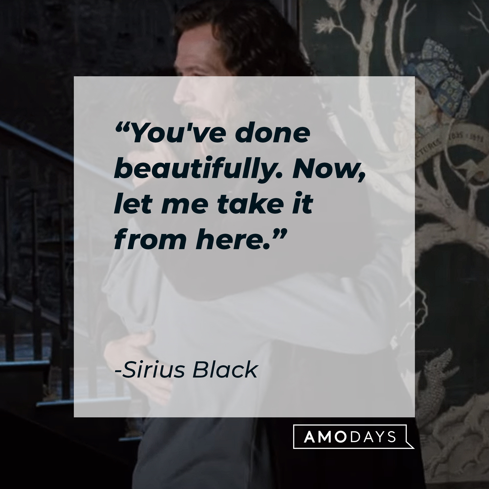 Sirius Black's quote: "You've done beautifully. Now, let me take it from here." | Source: YouTube/harrypotter
