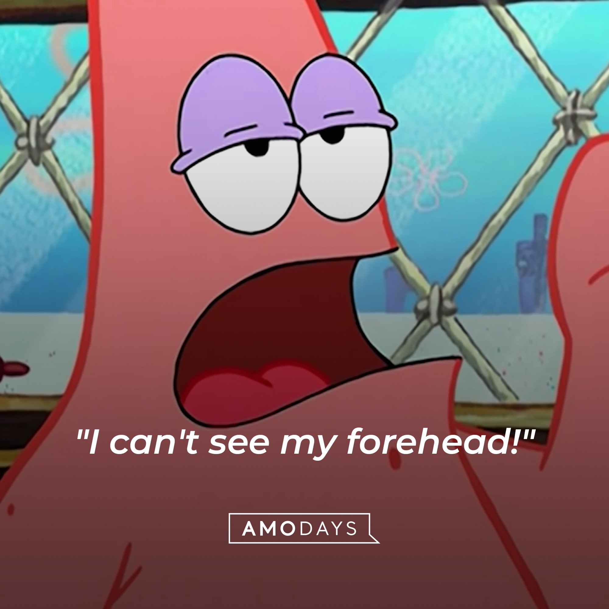 Patrick Star’s quote: "I can't see my forehead!" | Image: AmoDays