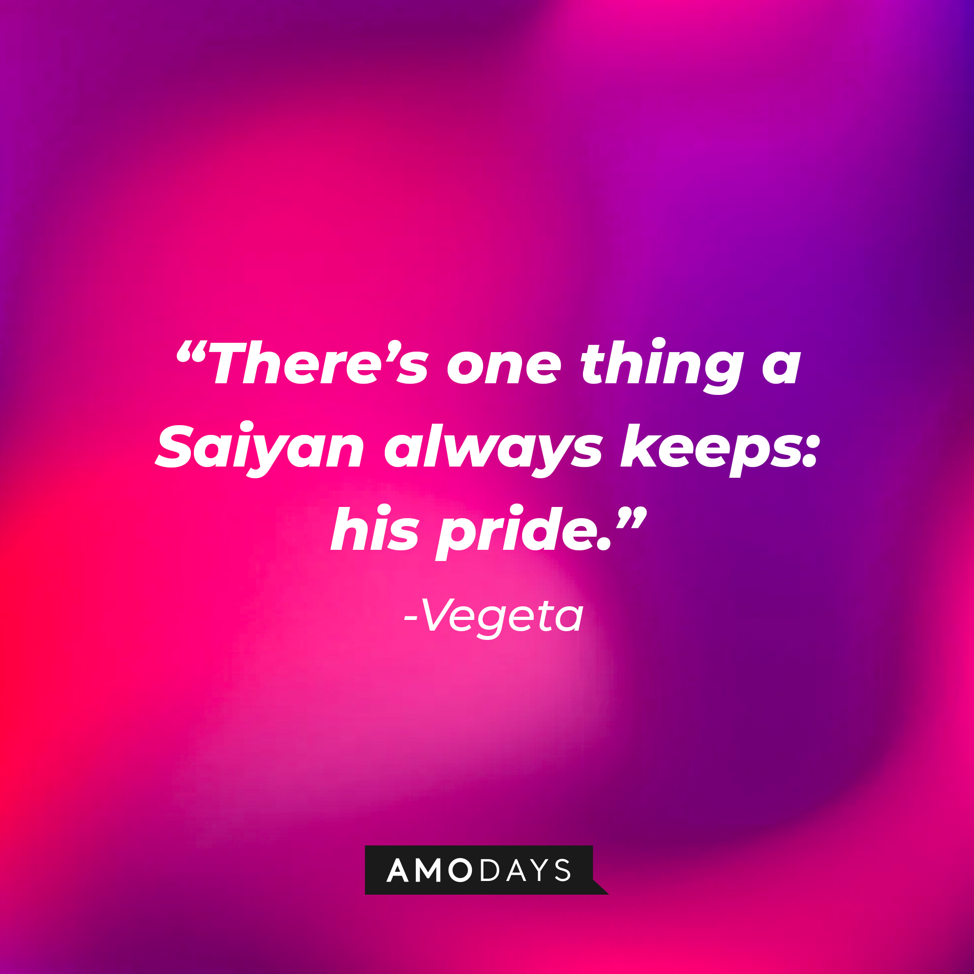 Vegeta’s quote: “There’s one thing a Saiyan always keeps: his pride.”  | Source: AmoDays