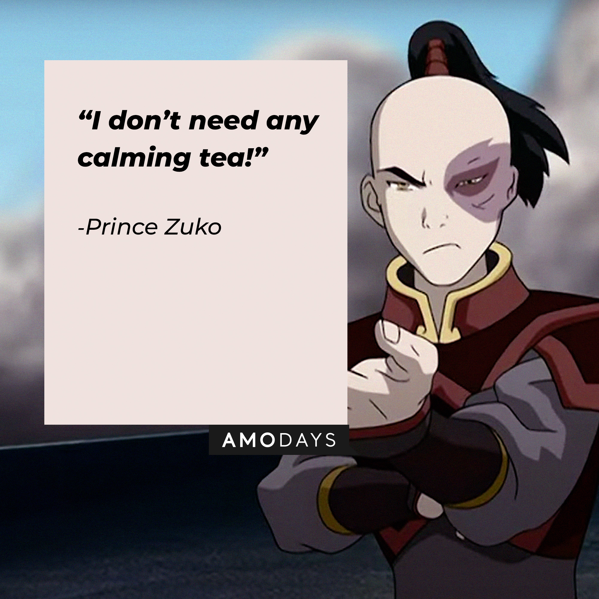 Zuko's quote: “I don’t need any calming tea!” | Source: youtube.com/TeamAvatar