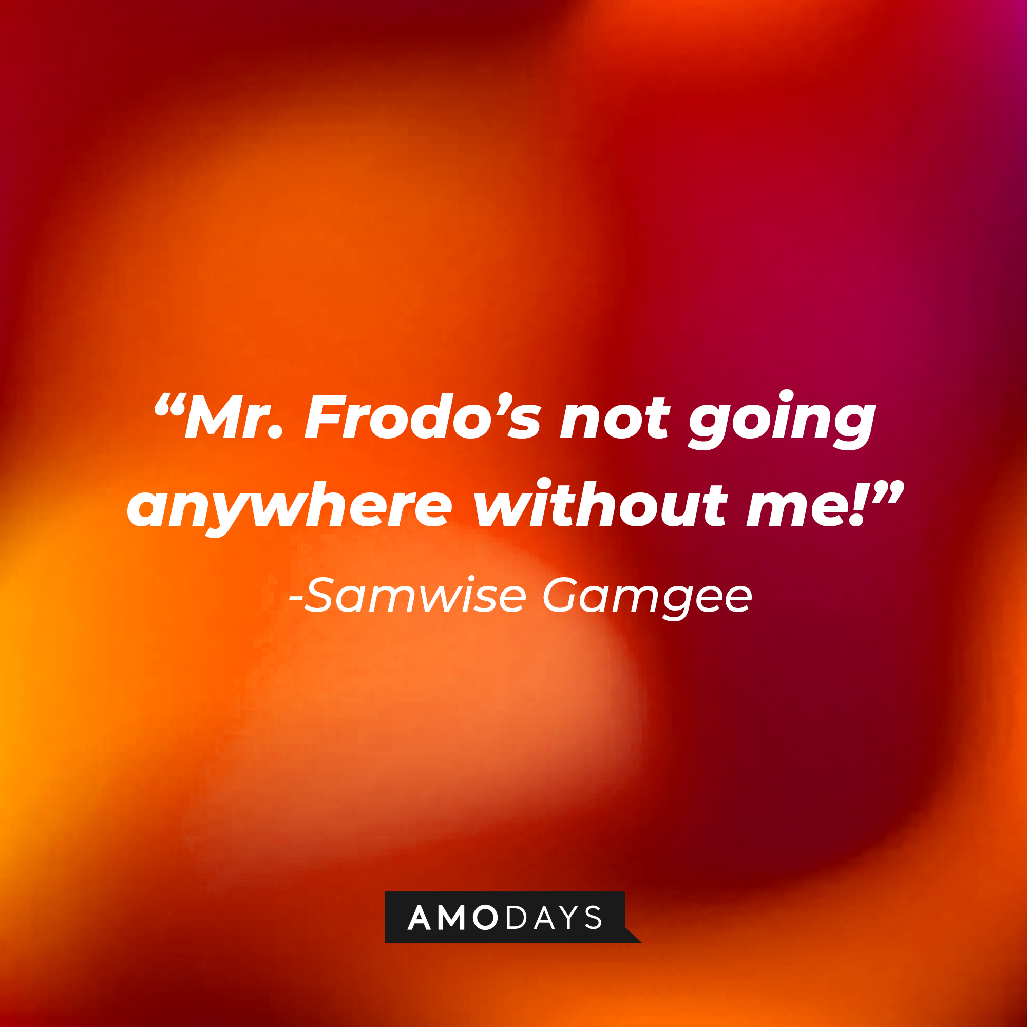 Samwise Gamgee's quote: “Mr. Frodo’s not going anywhere without me!” | Source: Amodays