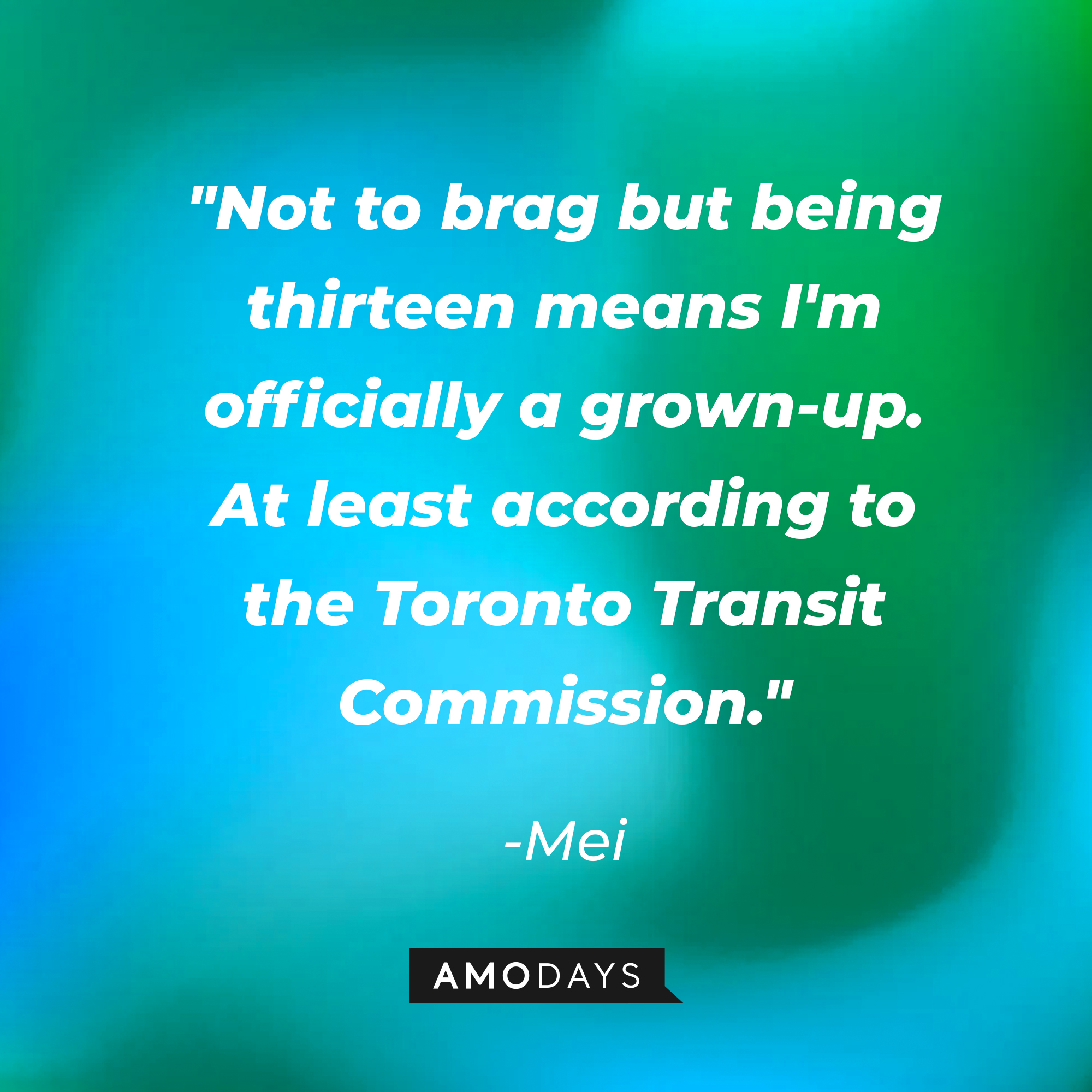 Mei's quote: "Not to brag but being thirteen means I'm officially a grown-up. At least according to the Toronto Transit Commission." | Source: AmoDays