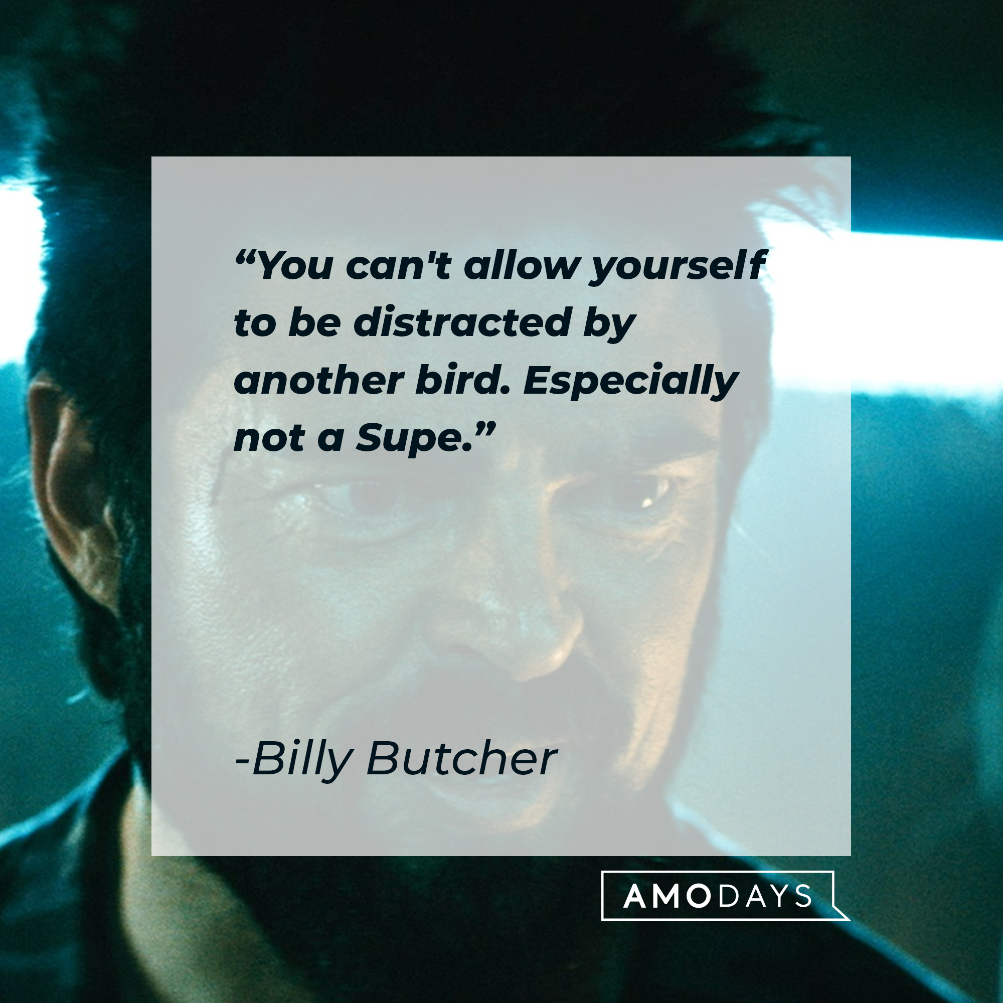 Billy Butcher's quote: "You can't allow yourself to be distracted by another bird. Especially not a Supe." | Source: Facebook.com/TheBoysTV