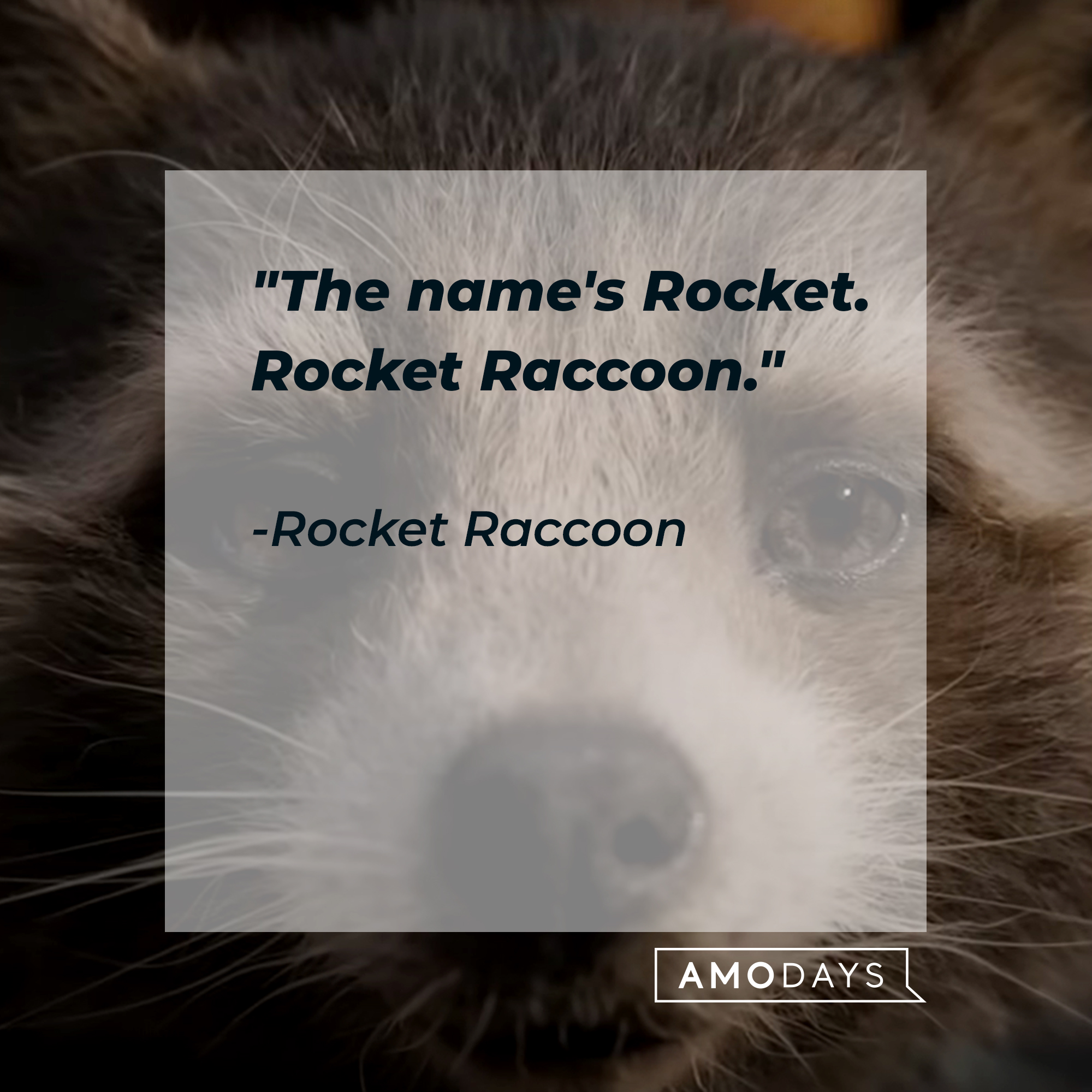 Rocket Raccoon's quote, "The name's Rocket. Rocket Raccoon." | Image: youtube.com/marvel