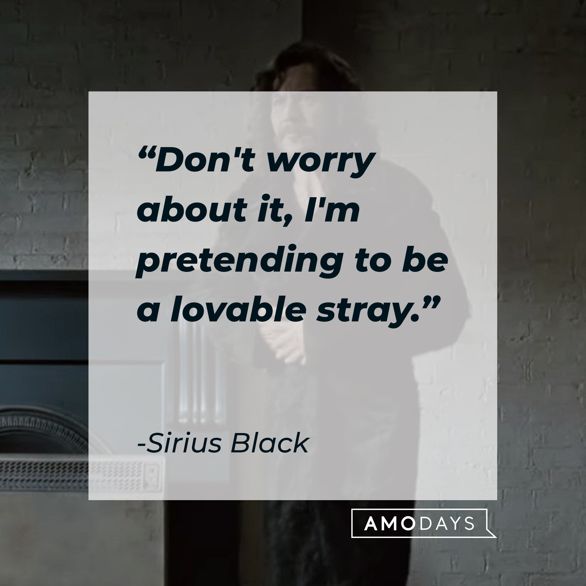 Sirius Black's quote: "Don't worry about it, I'm pretending to be a lovable stray." | Source: YouTube/harrypotter