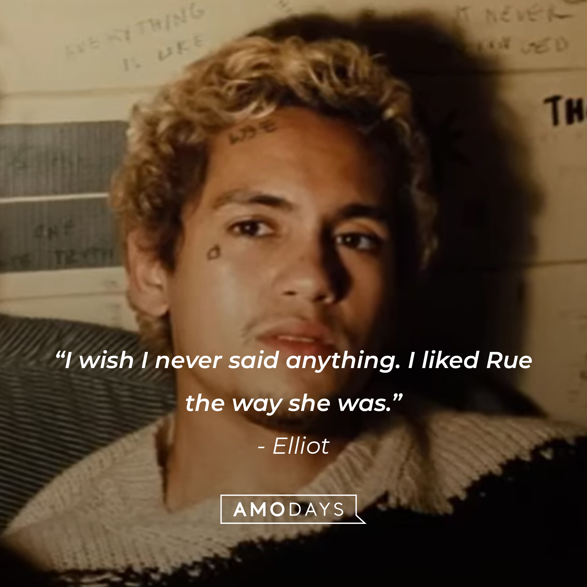 Elliot with his quote: “I wish I never said anything. I liked Rue the way she was.” | Source: HBO