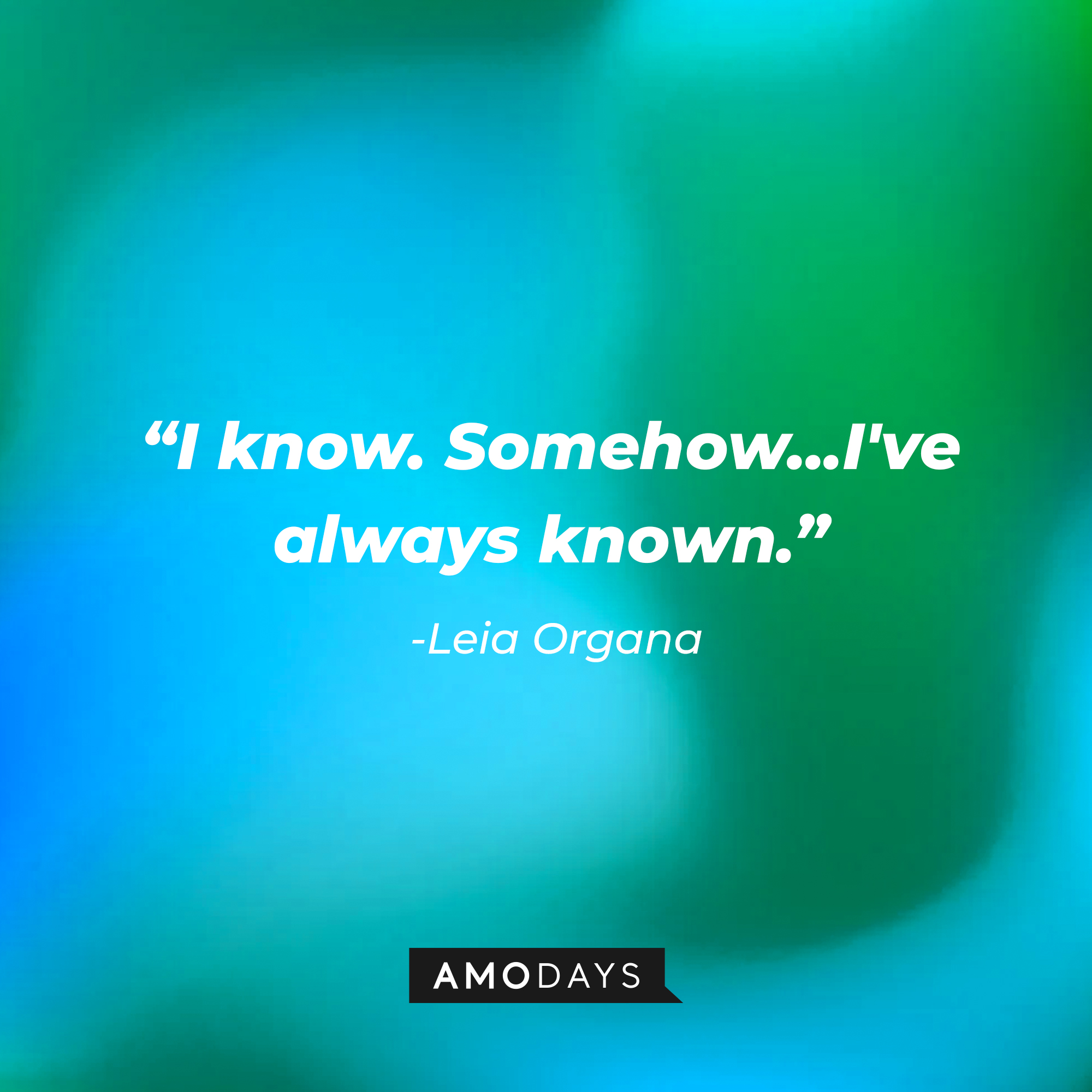 Leia Organa’s quote: “I know. Somehow...I've always known.” | Source: AmoDays