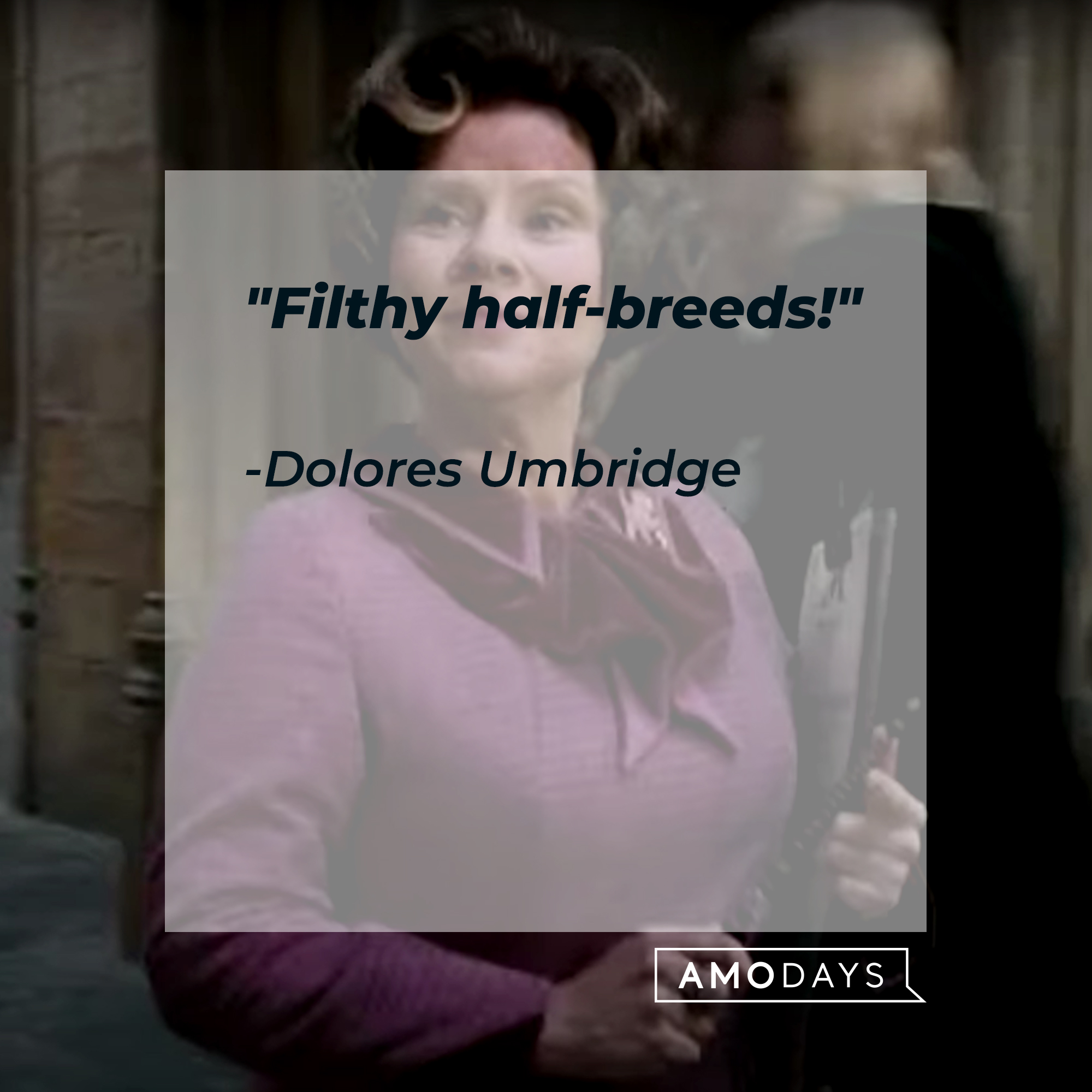 A photo of Dolores Umbridge with the quote, "Filthy half-breeds!" | Source: Facebook/harrypotter