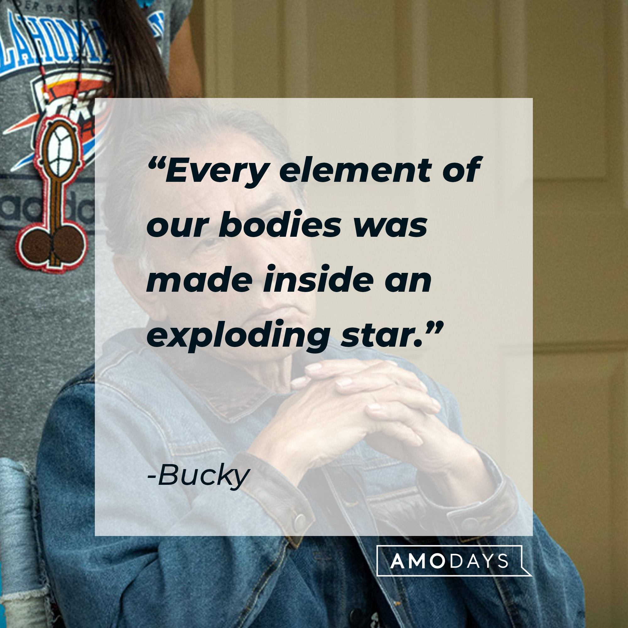 Bucky, with his quote: “Every element of our bodies was made inside an exploding star.” | Source: Facebook.com/RezDogsFX
