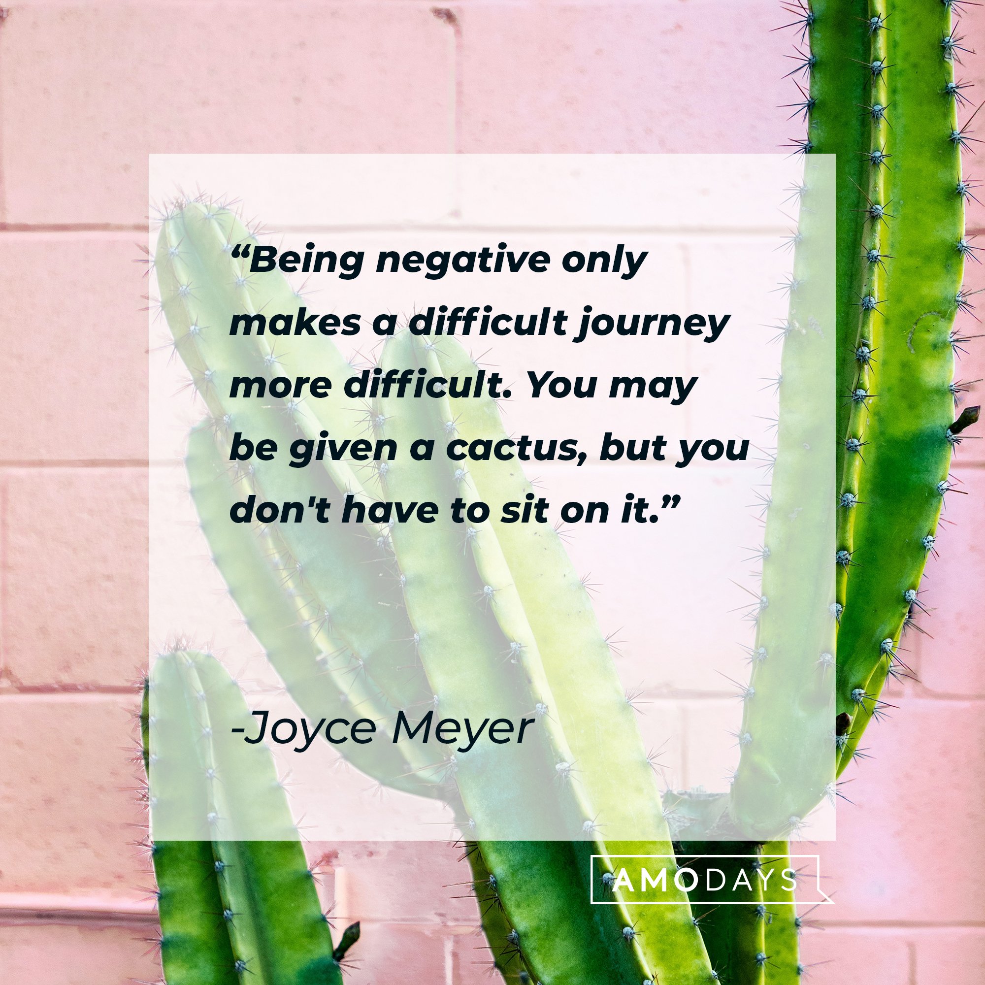 Joyce Meyer’s quote: “Being negative only makes a difficult journey more difficult. You may be given a cactus, but you don't have to sit on it."  | Image: AmoDays  