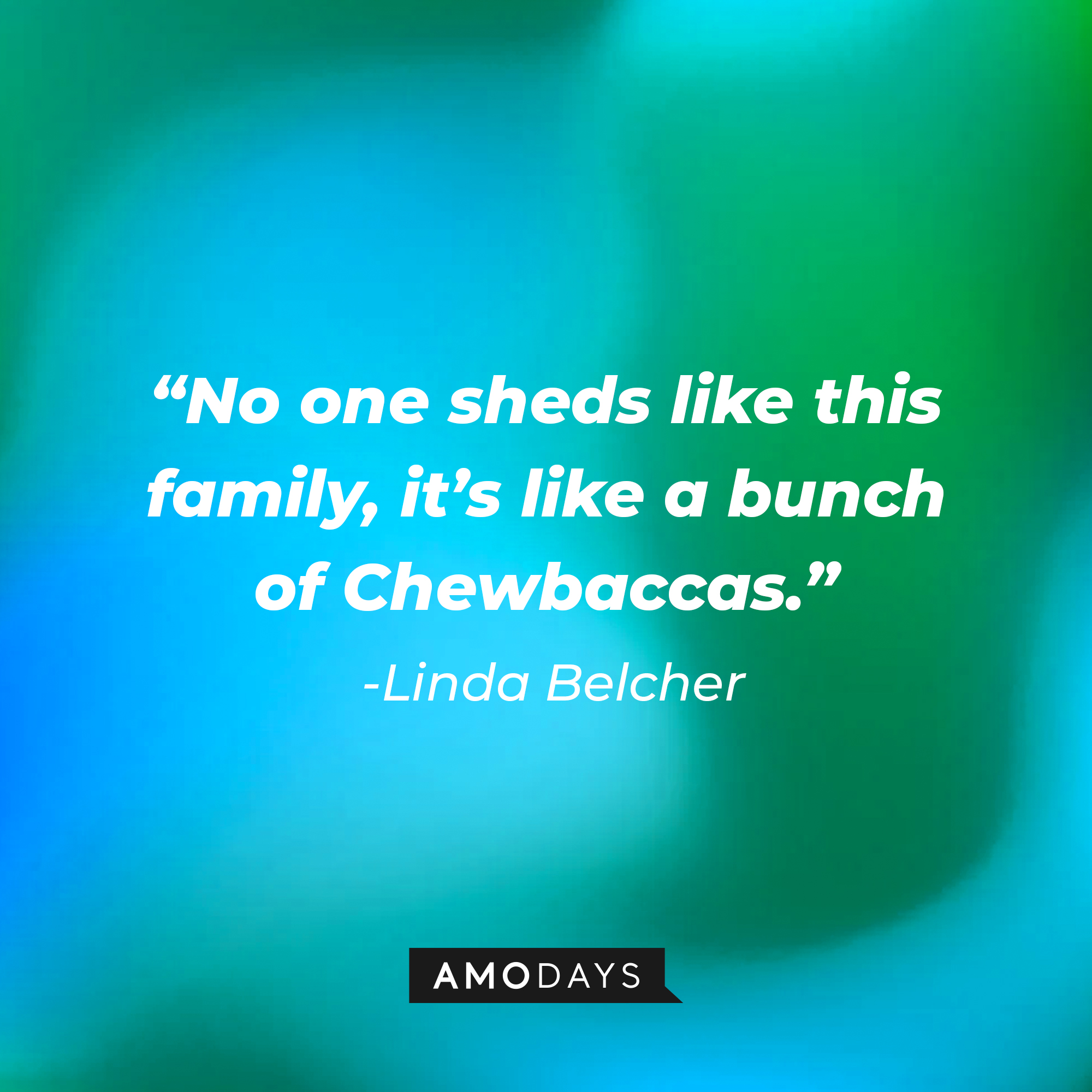 Linda Belcher’s quote: “No one sheds like this family, it’s like a bunch of Chewbaccas.” | Source: AmoDays