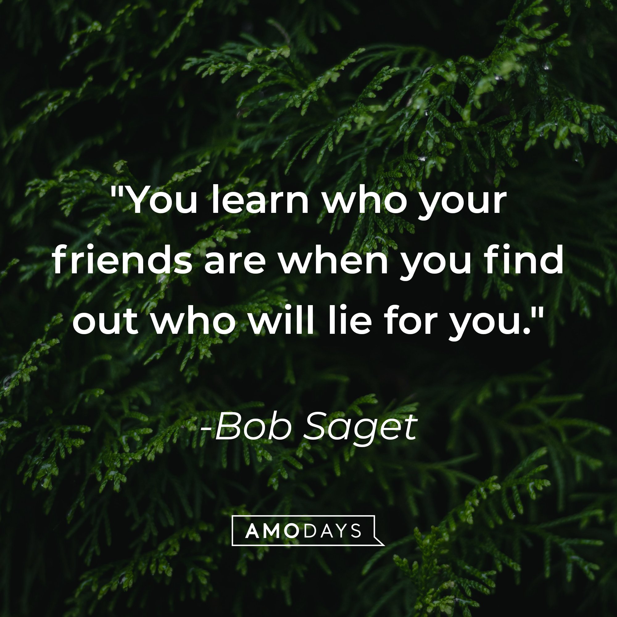  Bob Saget’s quote: "You learn who your friends are when you find out who will lie for you." | Image: AmoDays