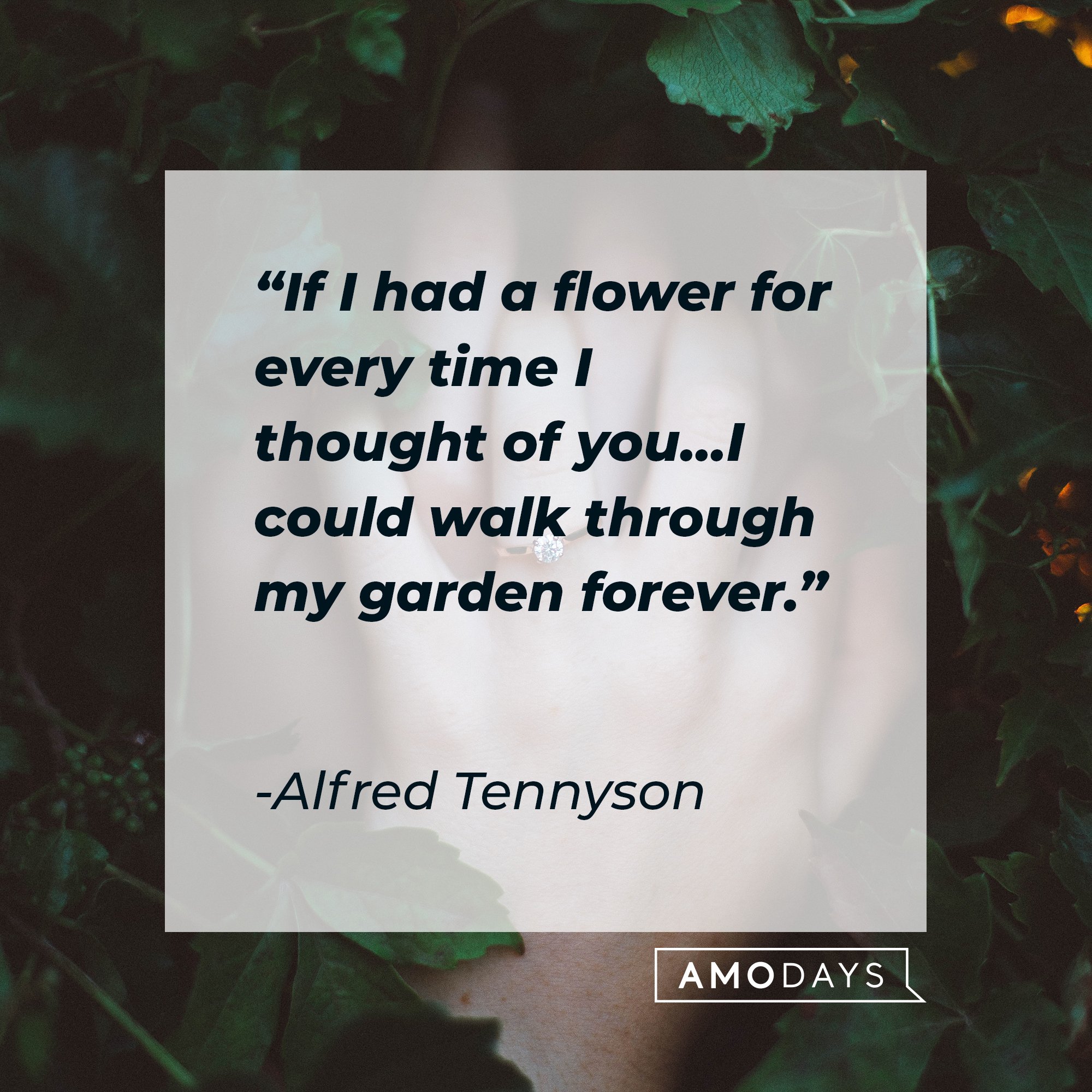 Alfred Tennyson’s quote: "If I had a flower for every time I thought of you…I could walk through my garden forever." | Image: AmoDays 