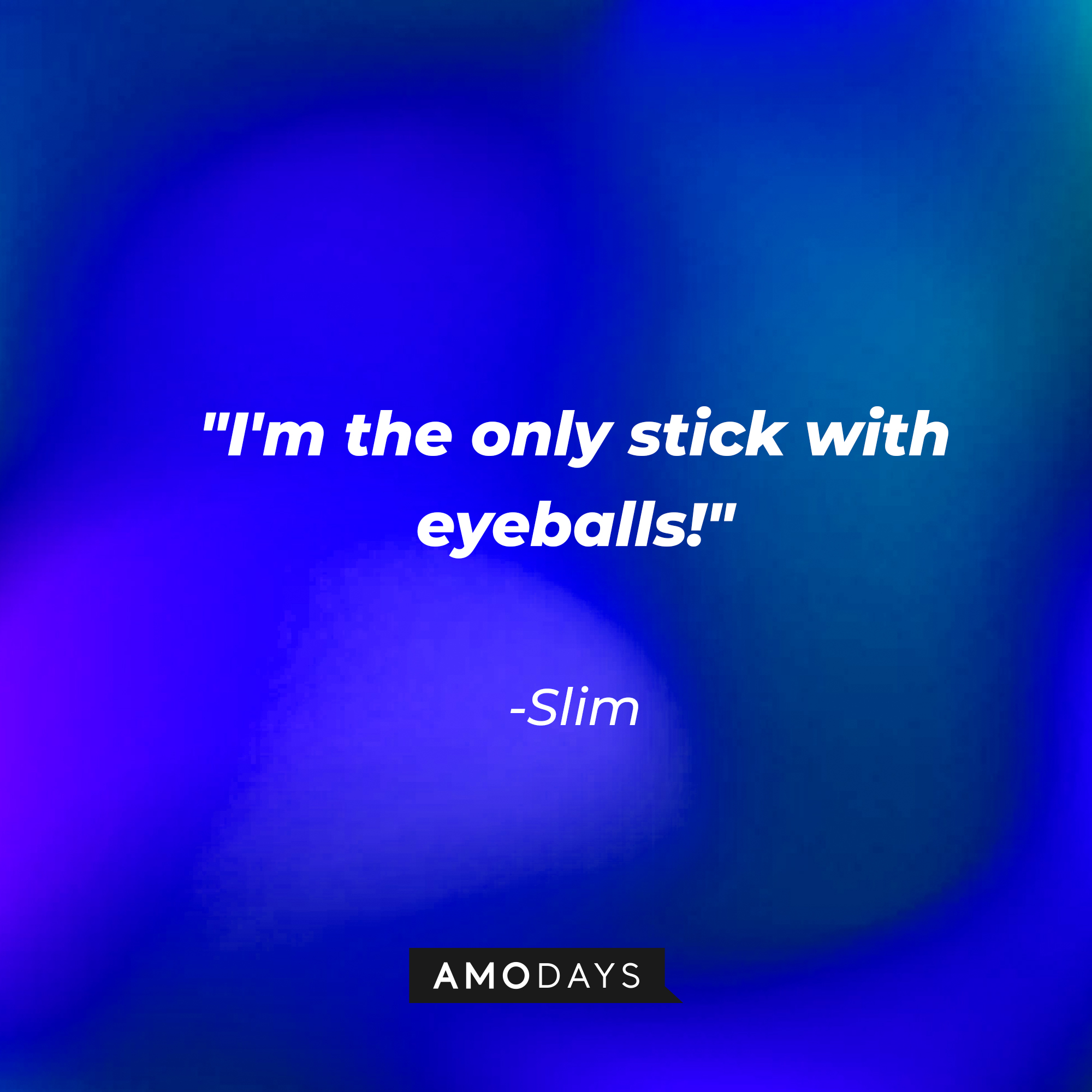 Slim's quote: "I'm the only stick with eyeballs!" | Source: AmoDays