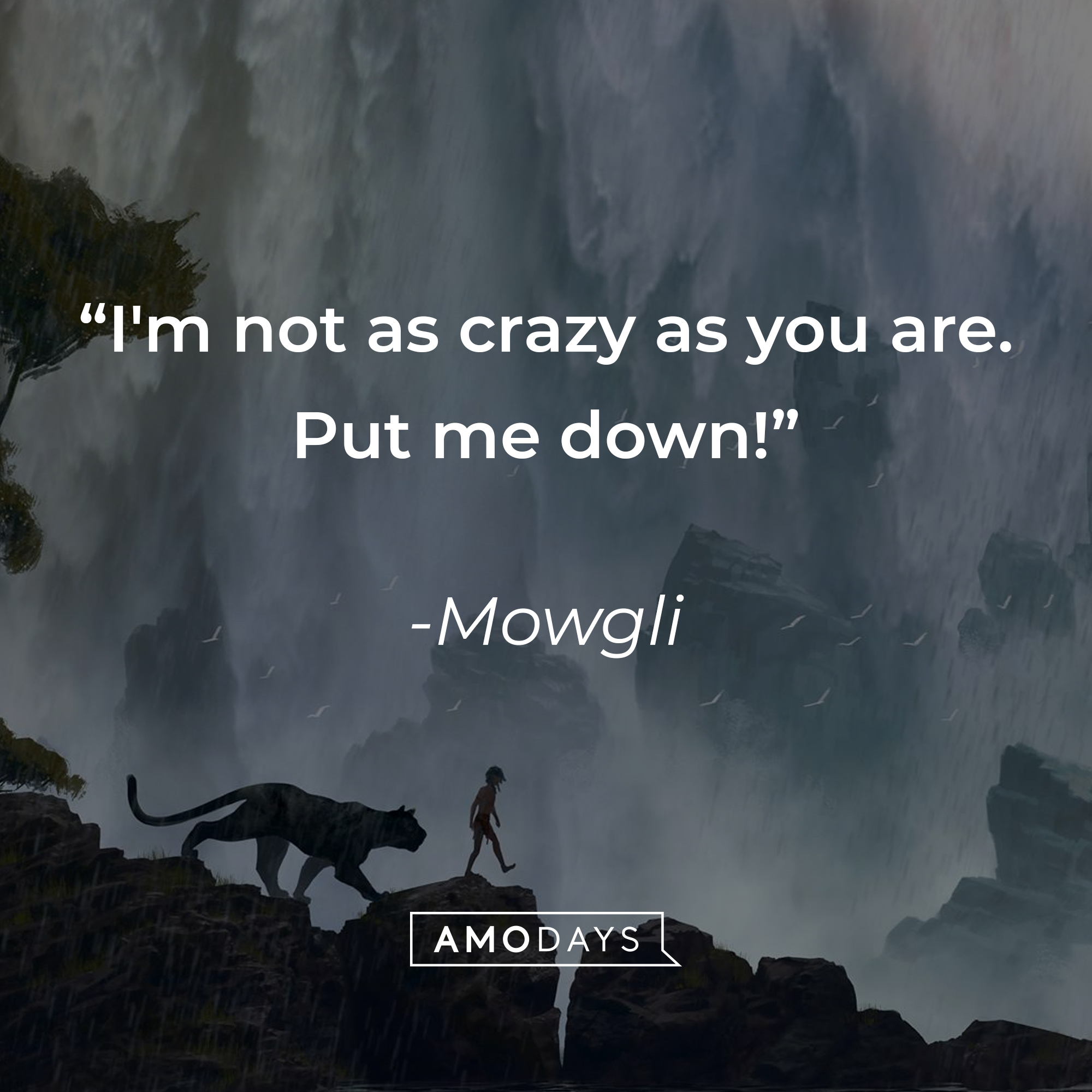 Mowgli's quote: "I'm not as crazy as you are. Put me down!" | Source: facebook.com/DisneyJungleBook