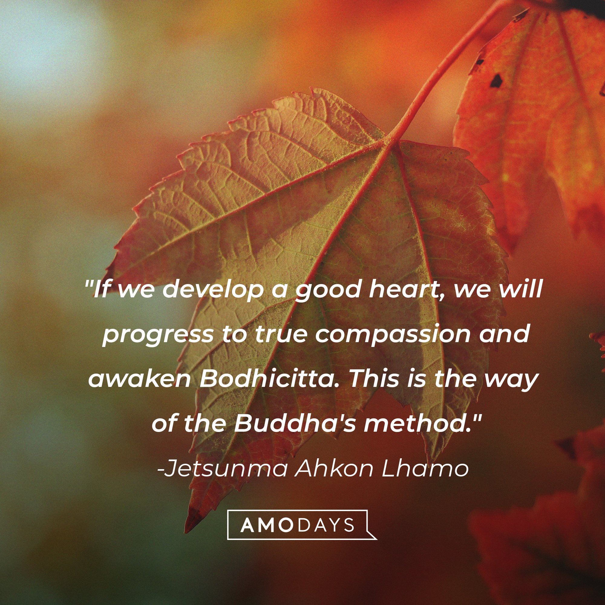 Jetsunma Ahkon Lhamo’s quote: "If we develop a good heart, we will progress to true compassion and awaken Bodhicitta. This is the way of the Buddha's method." | Image: AmoDays