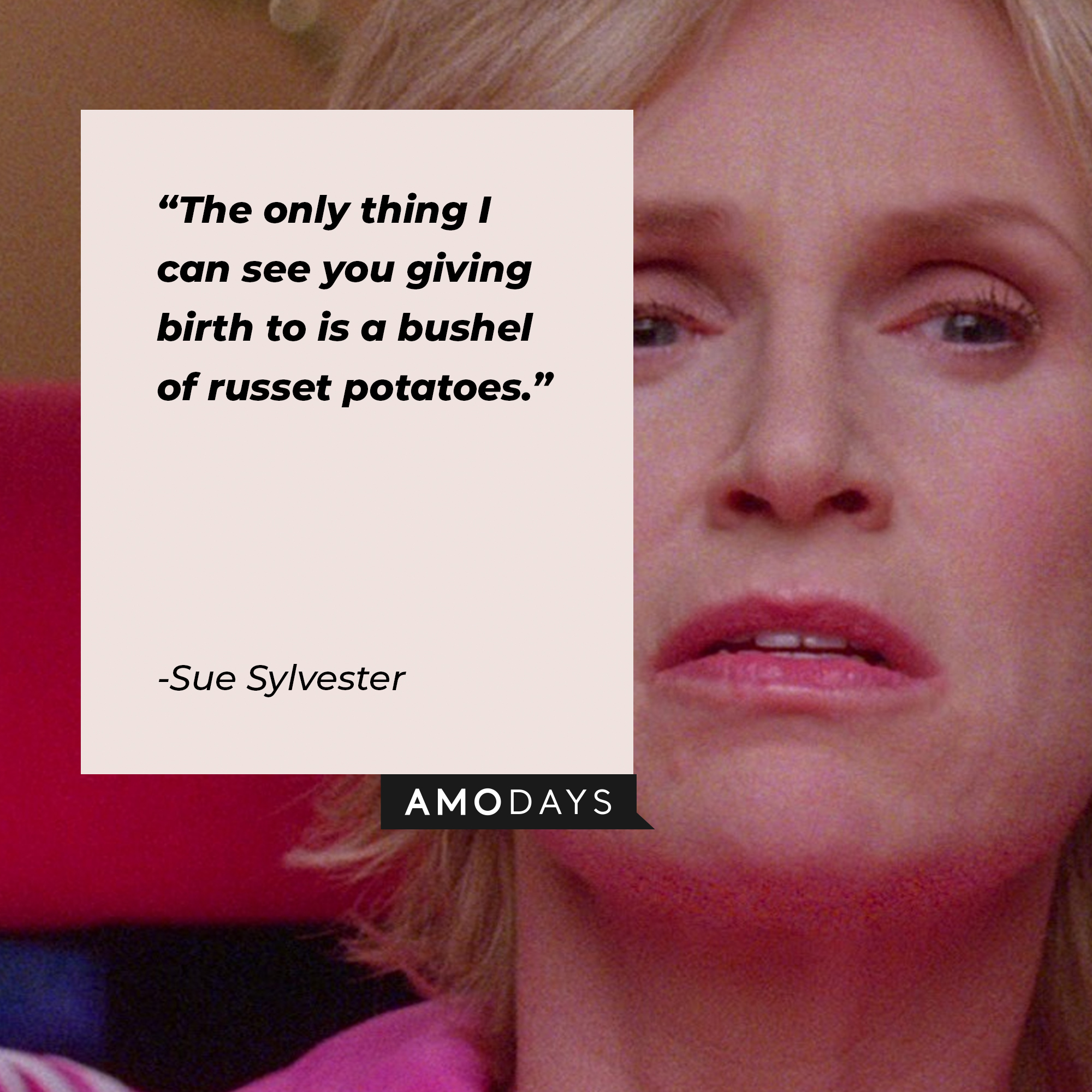 A picture of Sue Sylester with a quote by her : “The only thing I can see you giving birth to is a bushel of russet potatoes.” | Source: facebook.com/Glee