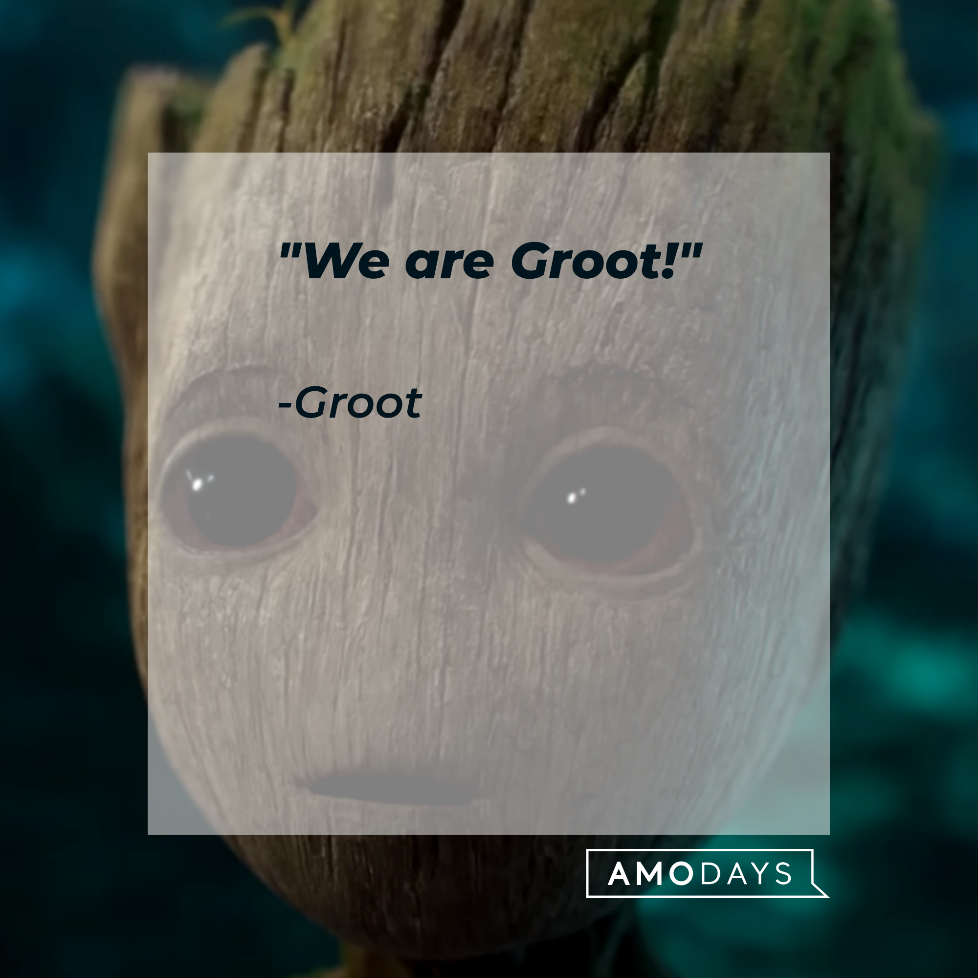 Groot's quote, "We are Groot!" | Image: youtube.com/marvel