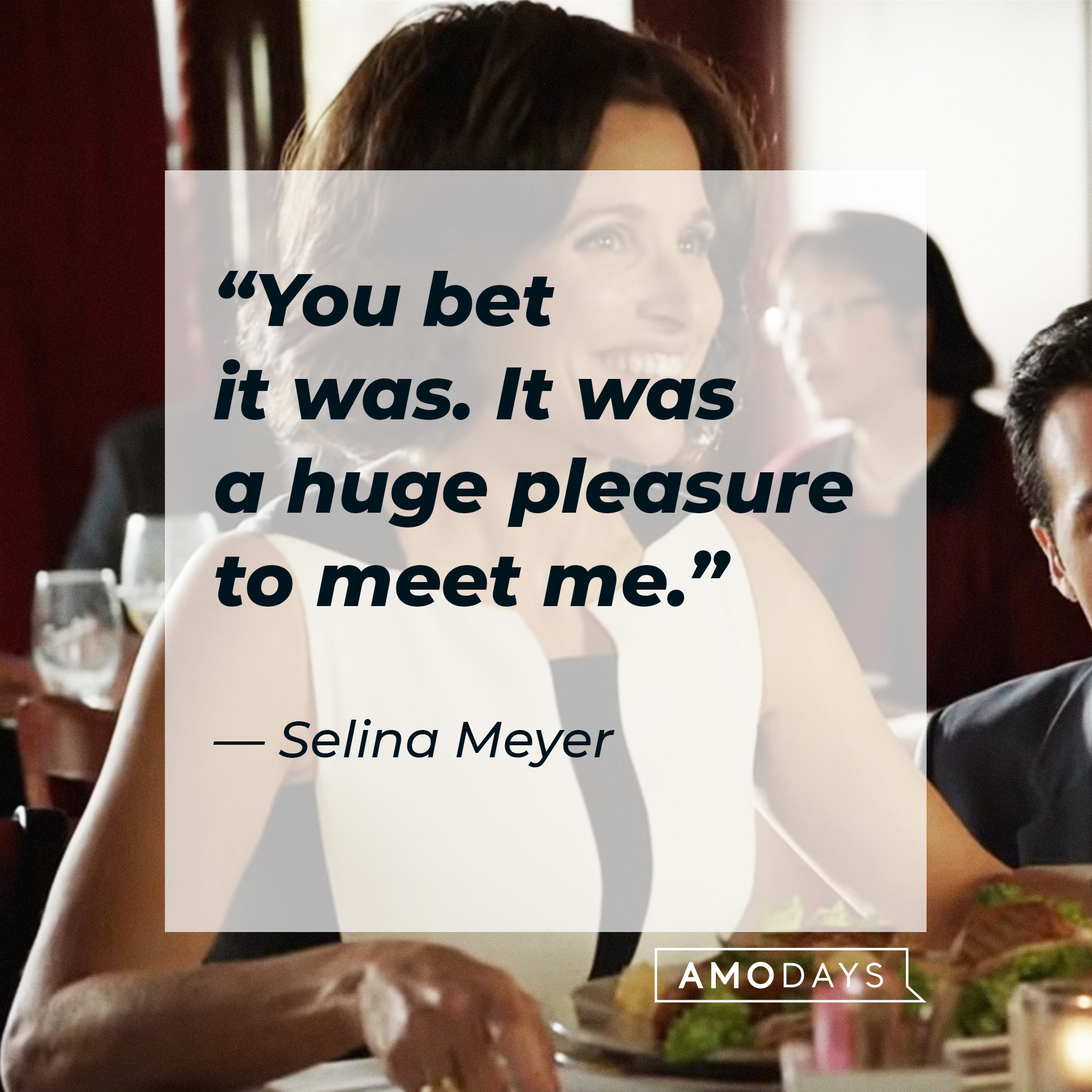 Selina Meyer, with her quote: “You bet it was. It was a huge pleasure to meet me.” │Source: youtube.com / Max