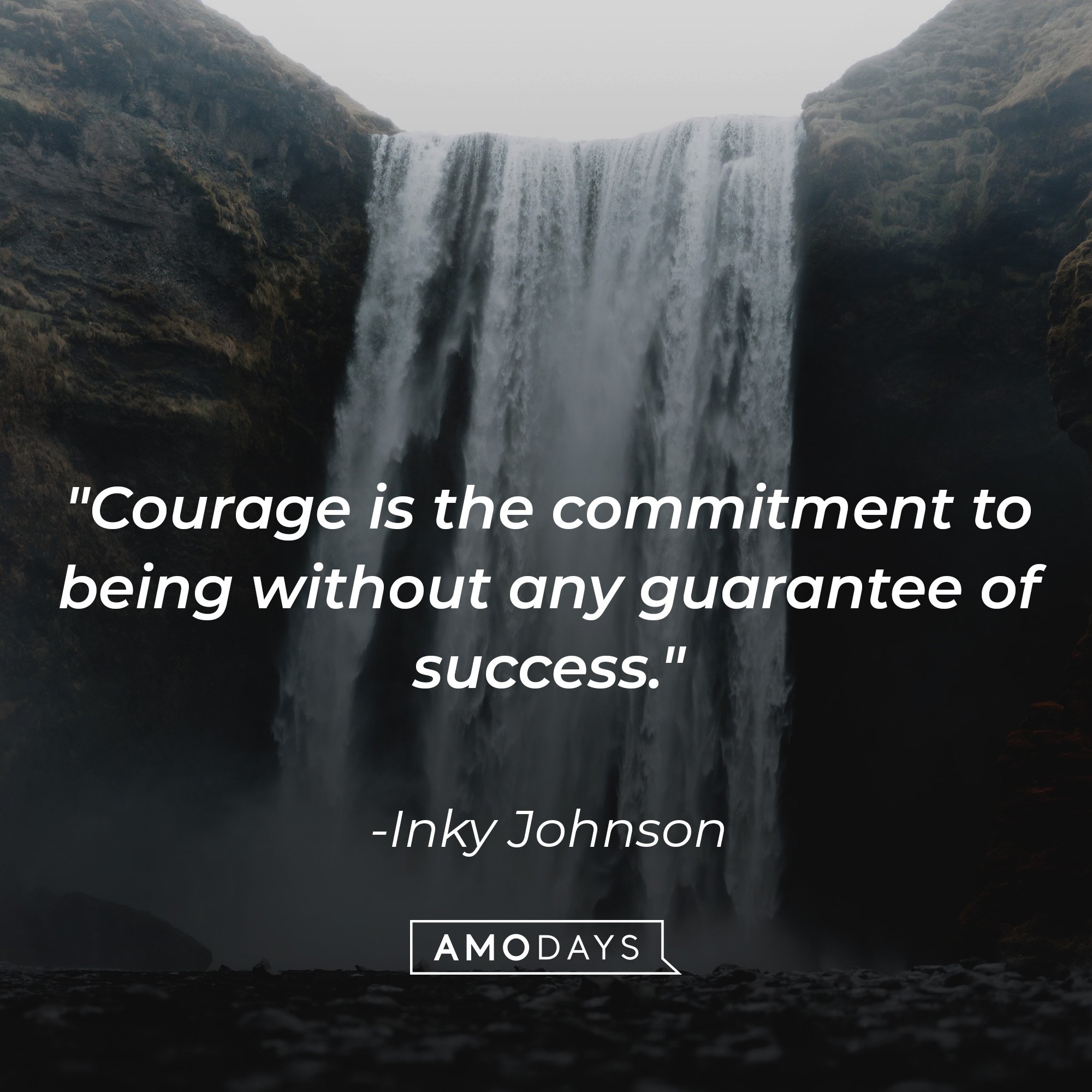 Inky Johnson's quote: "Courage is the commitment to being without any guarantee of success." | Image: AmoDays