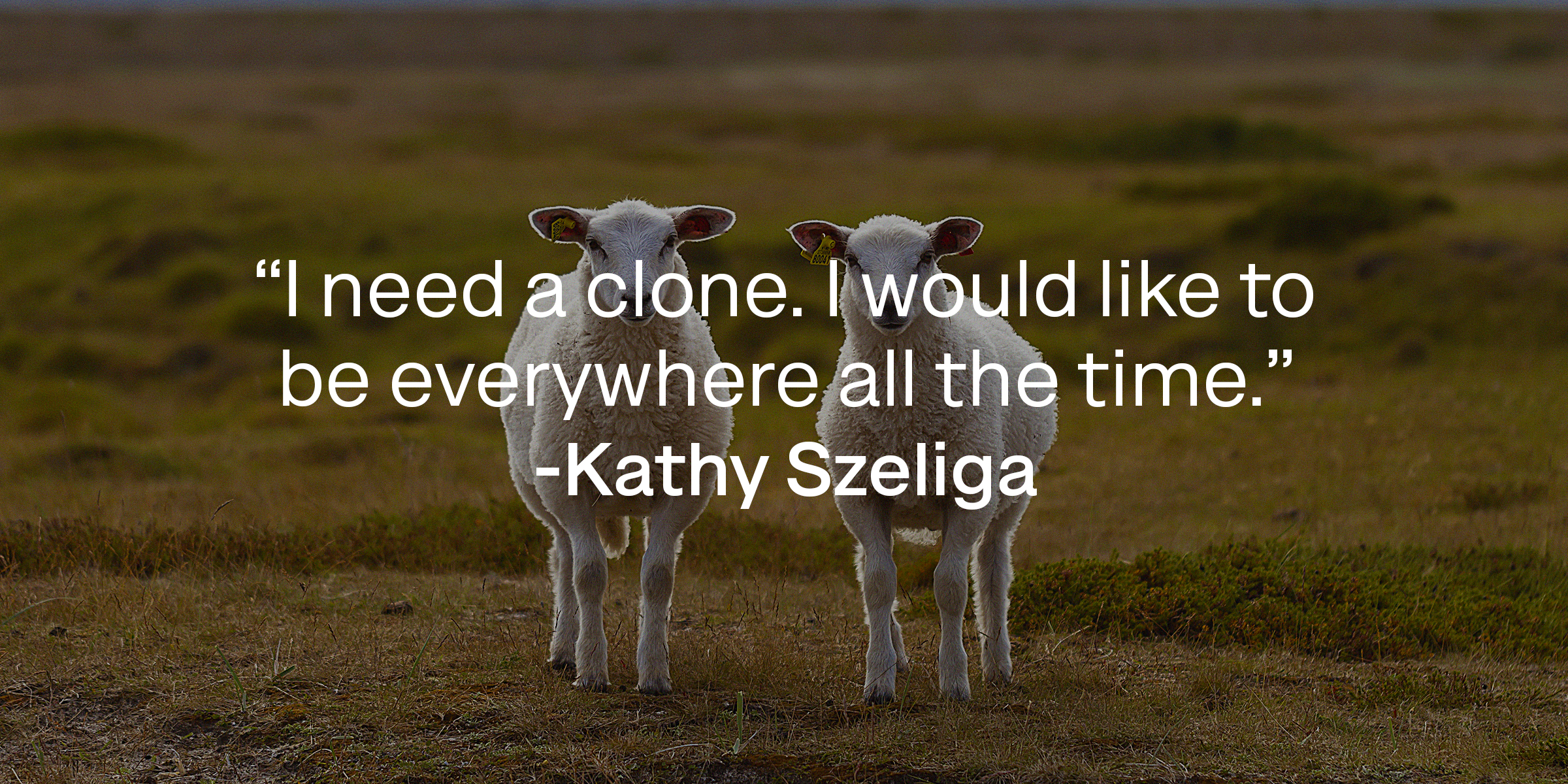 Kathy Szeliga's quote, "I need a clone. I would like to be everywhere all the time." | Image: Unsplash.com