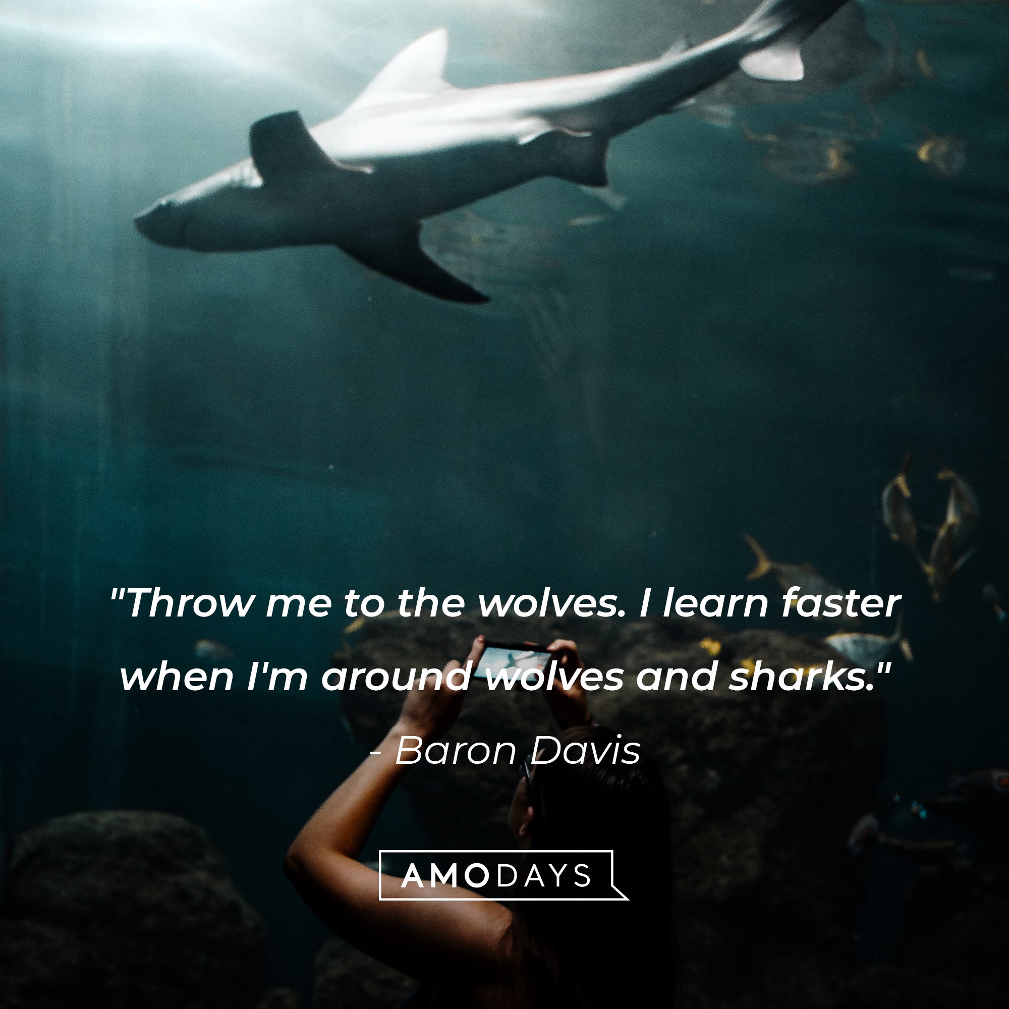 Baron Davis's quote: "Throw me to the wolves. I learn faster when I'm around wolves and sharks." | Image: AmoDays