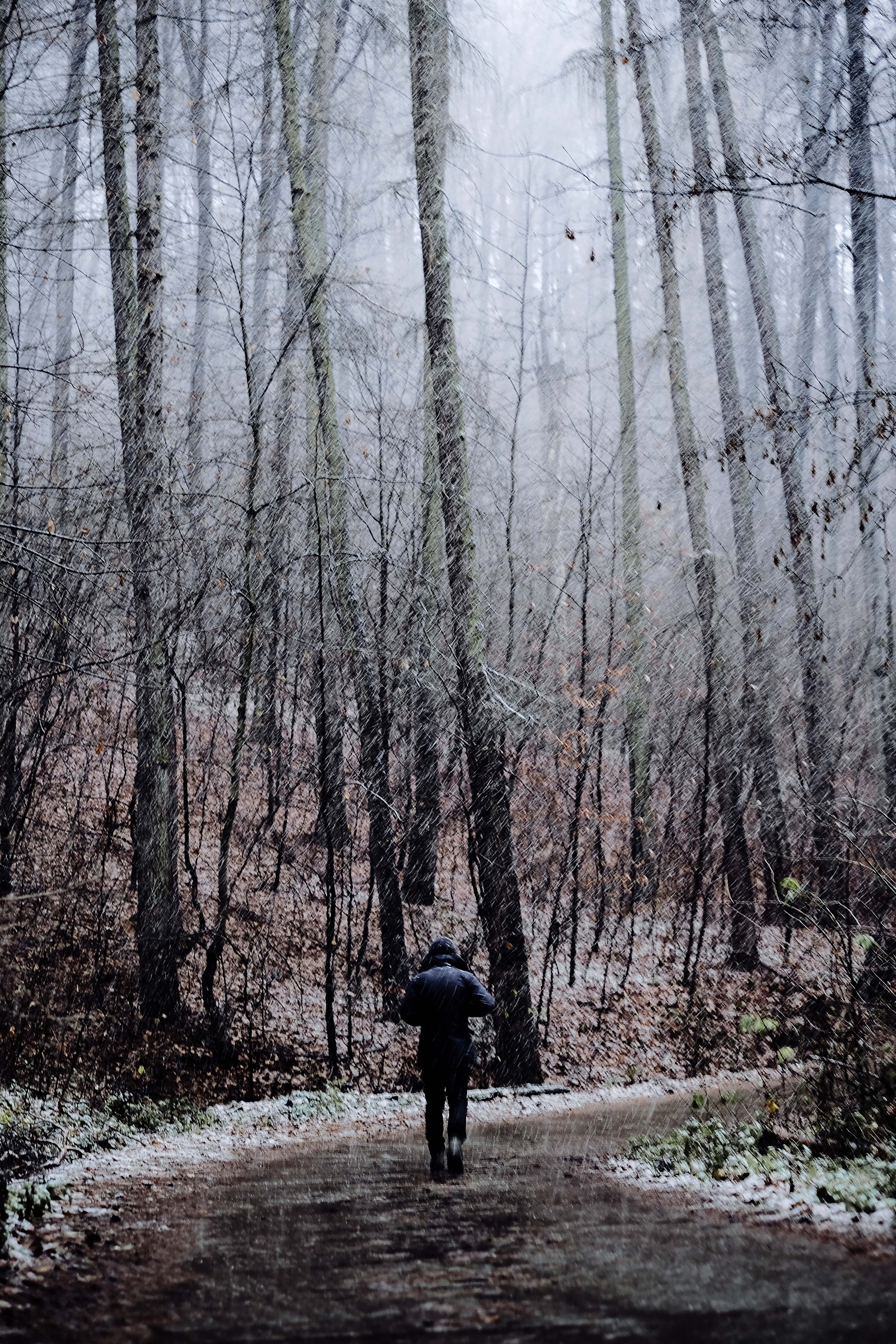 Frank was lost in the woods and he followed an old trail. | Source: Unsplash